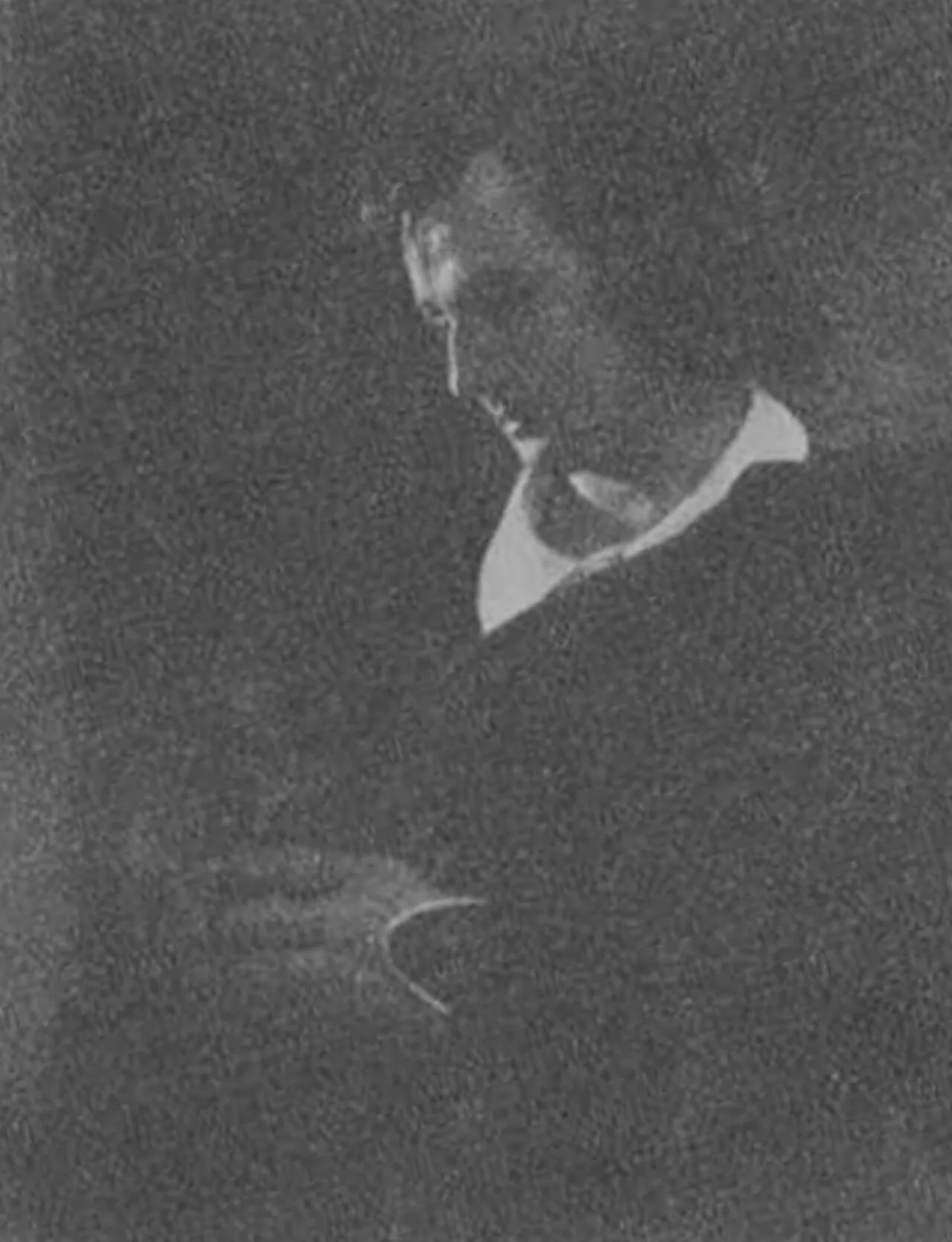Portrait of Adam Poulsen (1879–1969) – memorial page