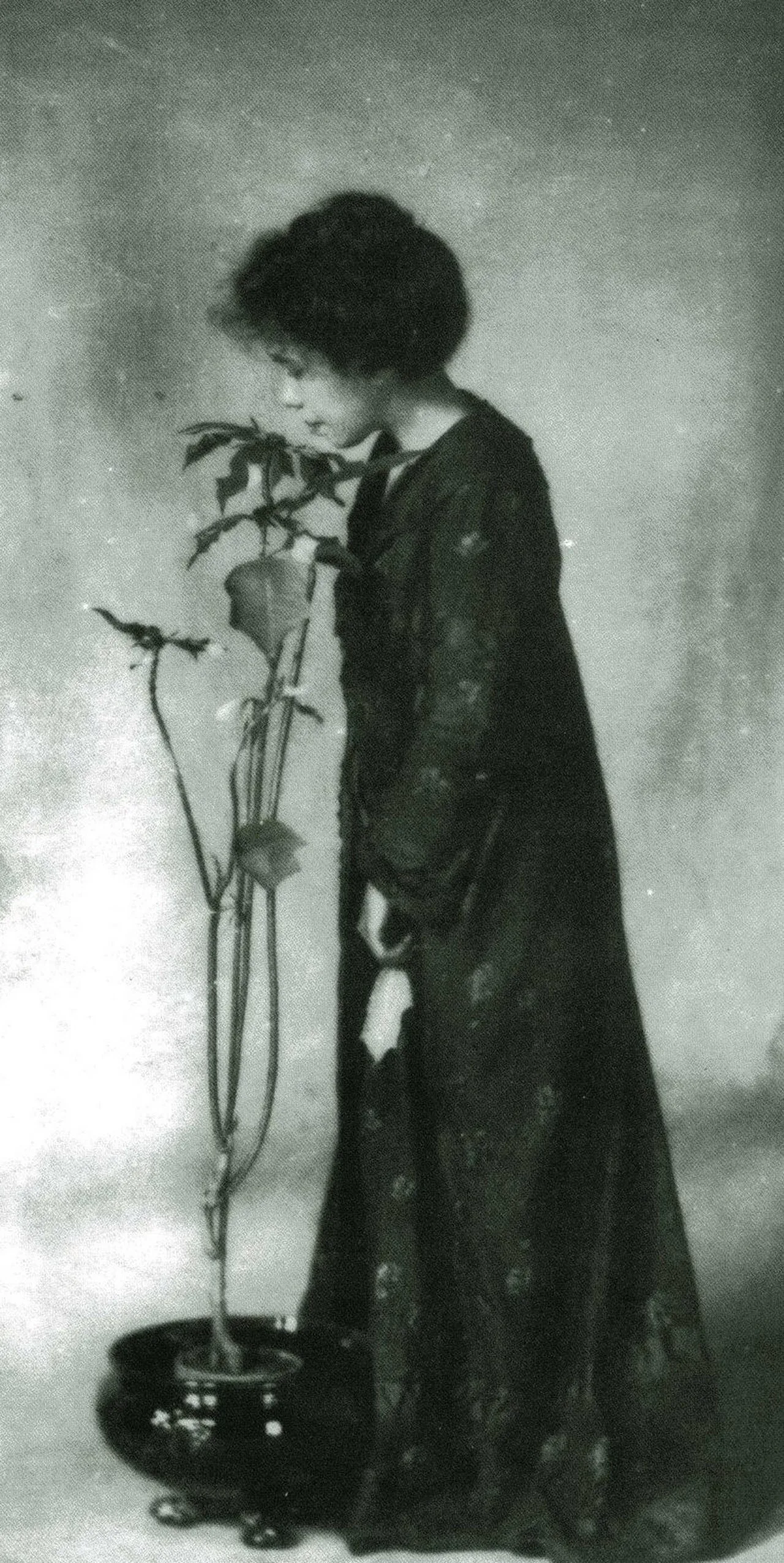 Porträt von Jane Reece (1868–1961) – Gedenkseite