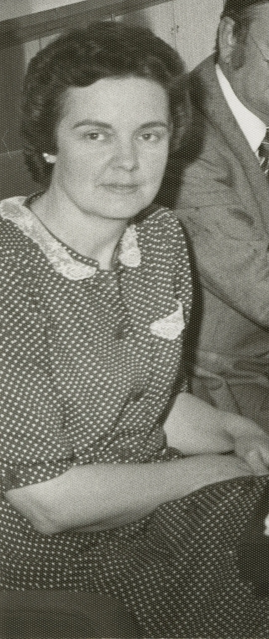 Portrait of Jennifer Cashmore (1937–2024) – memorial page