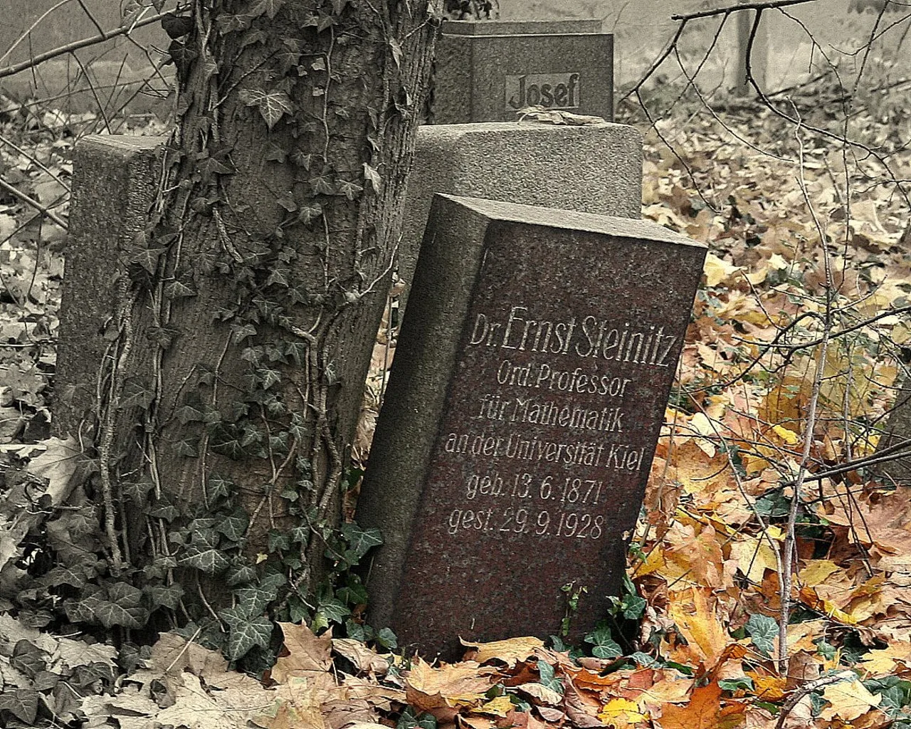 Porträt von Ernst Steinitz (1871–1928) – Gedenkseite