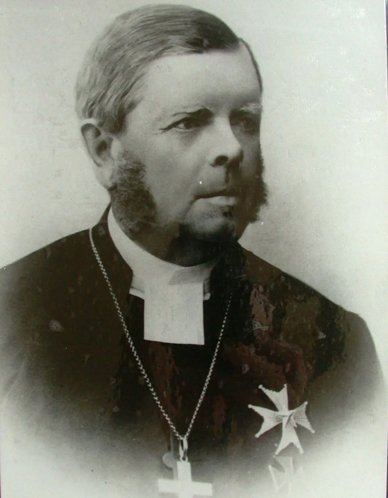 Porträt von Theodor Strömberg (1820–1889) – Gedenkseite