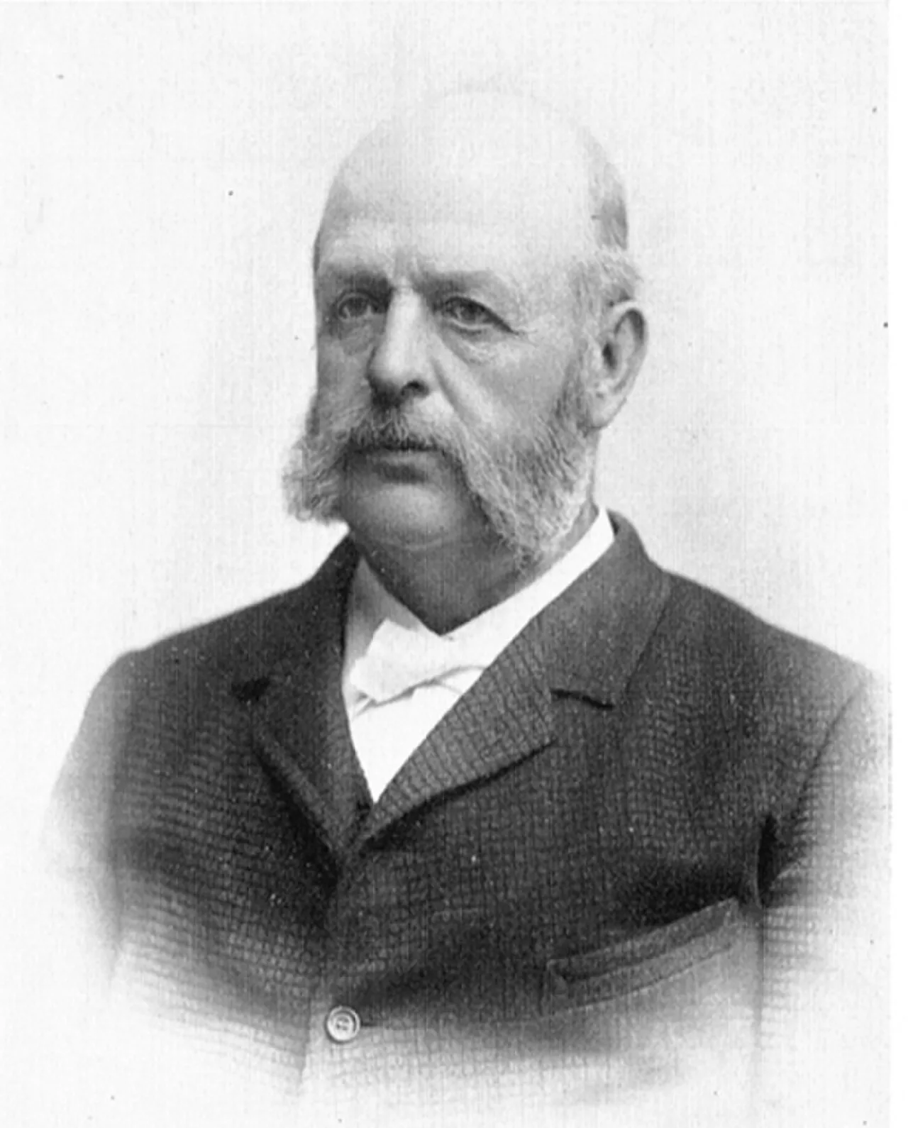 Porträt von Harald Strömfelt (1831–1900) – Gedenkseite