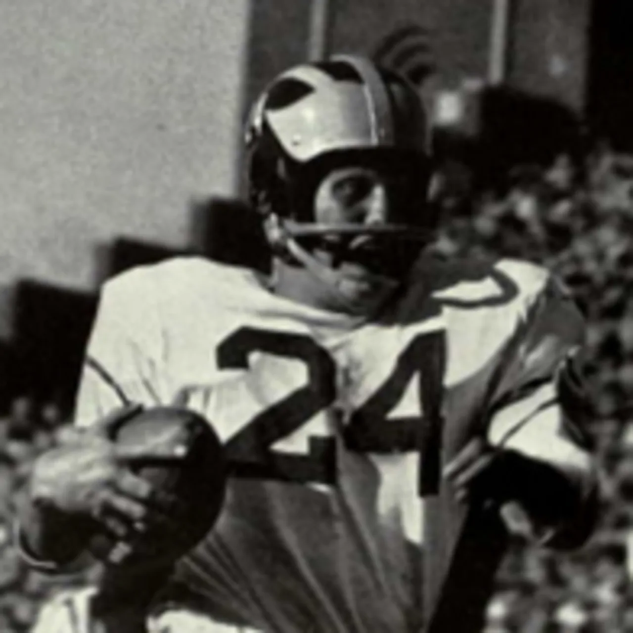 Jim Van Pelt