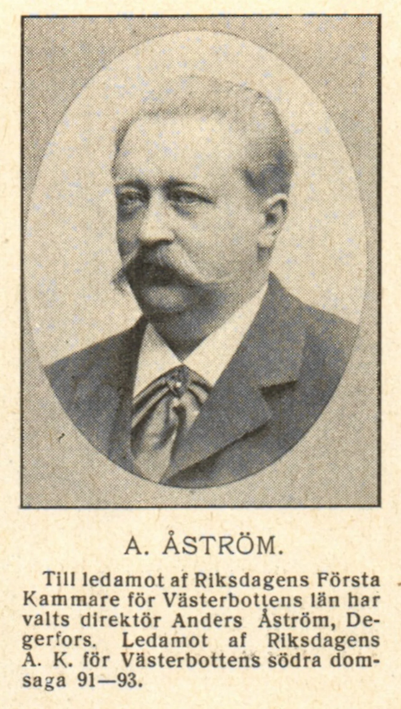 Porträt von Anders Åström (1859–1915) – Gedenkseite