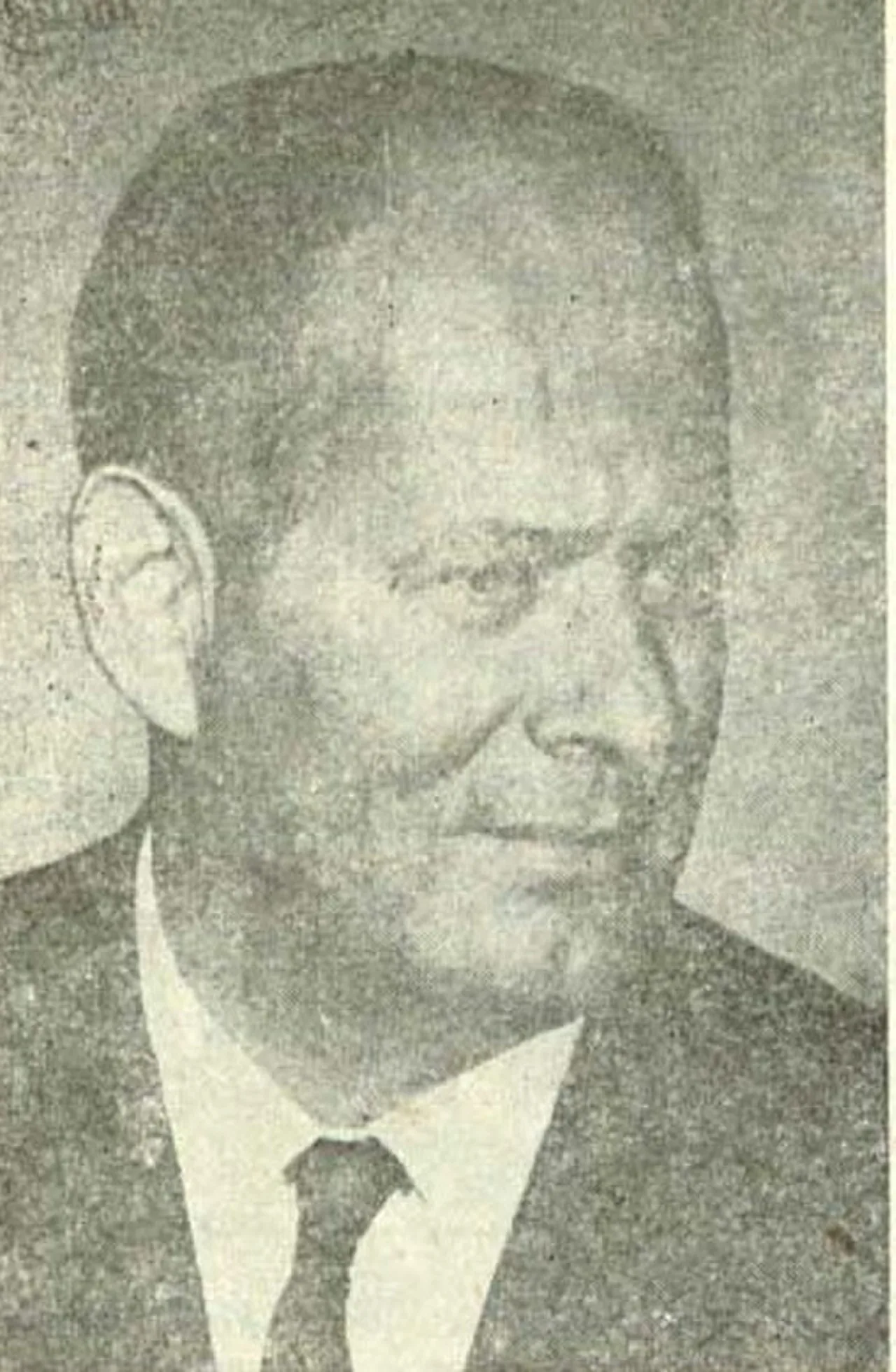 George Uscătescu