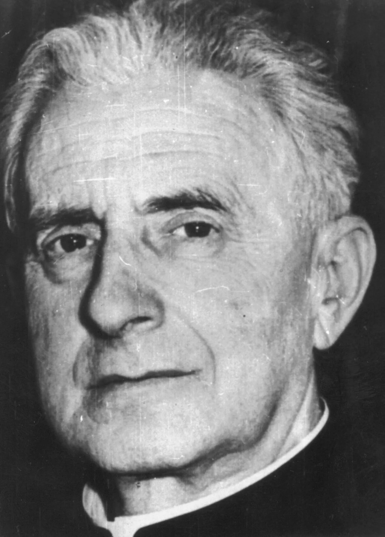 Porträt von Sándor Sik (1889–1963) – Gedenkseite