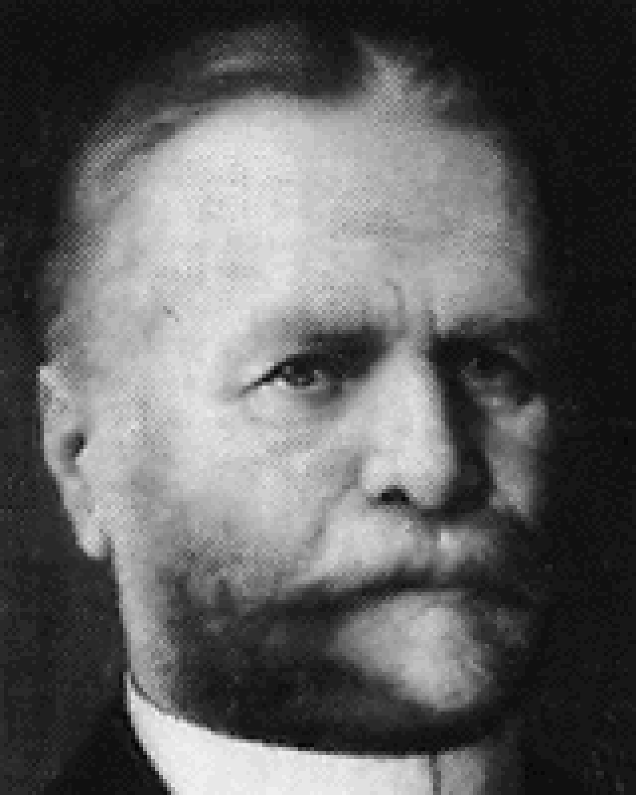Portrait of Bernhard Hammer (1822–1907) – memorial page