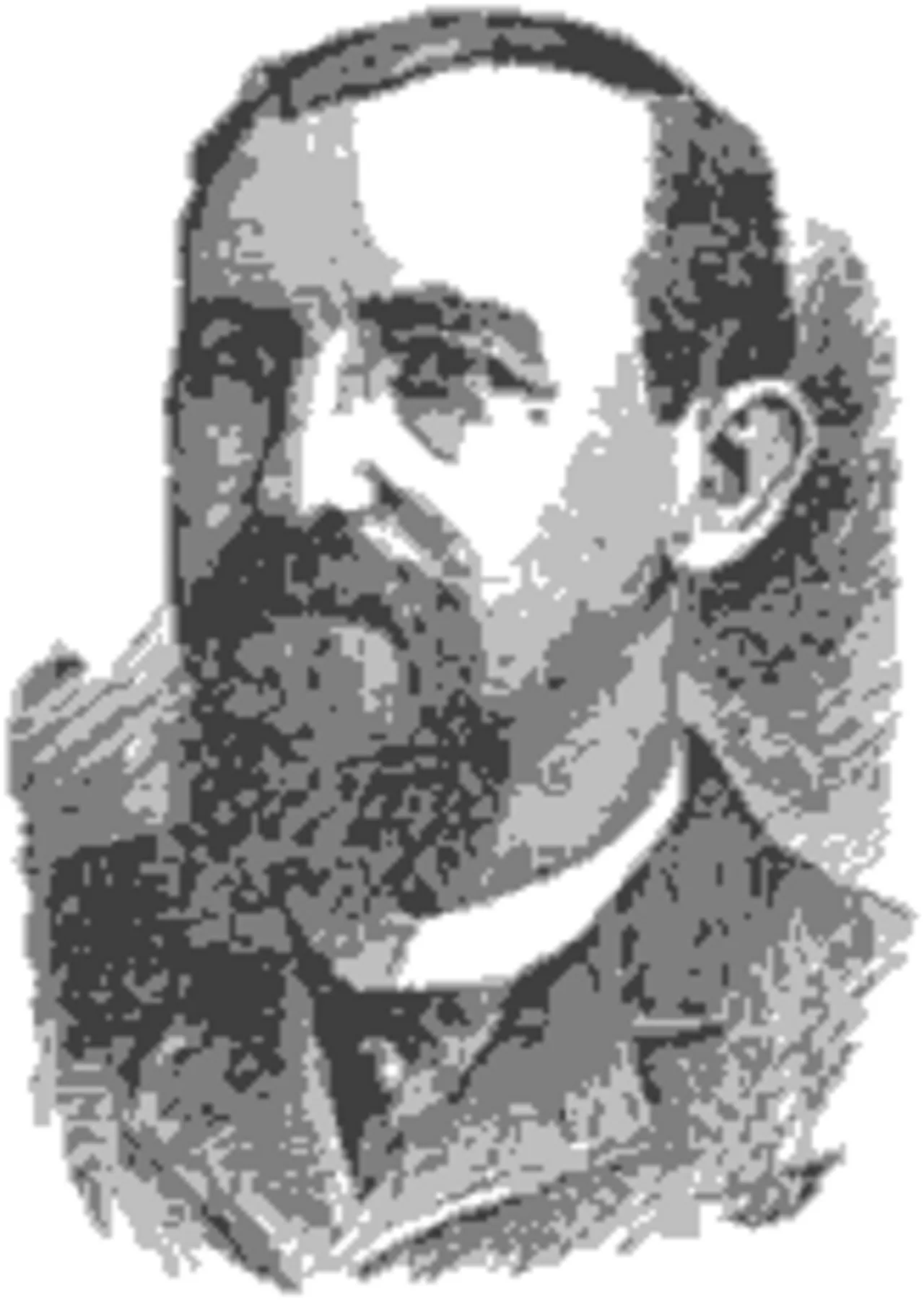 Porträt von Ariosto A. Wiley (1848–1908) – Gedenkseite