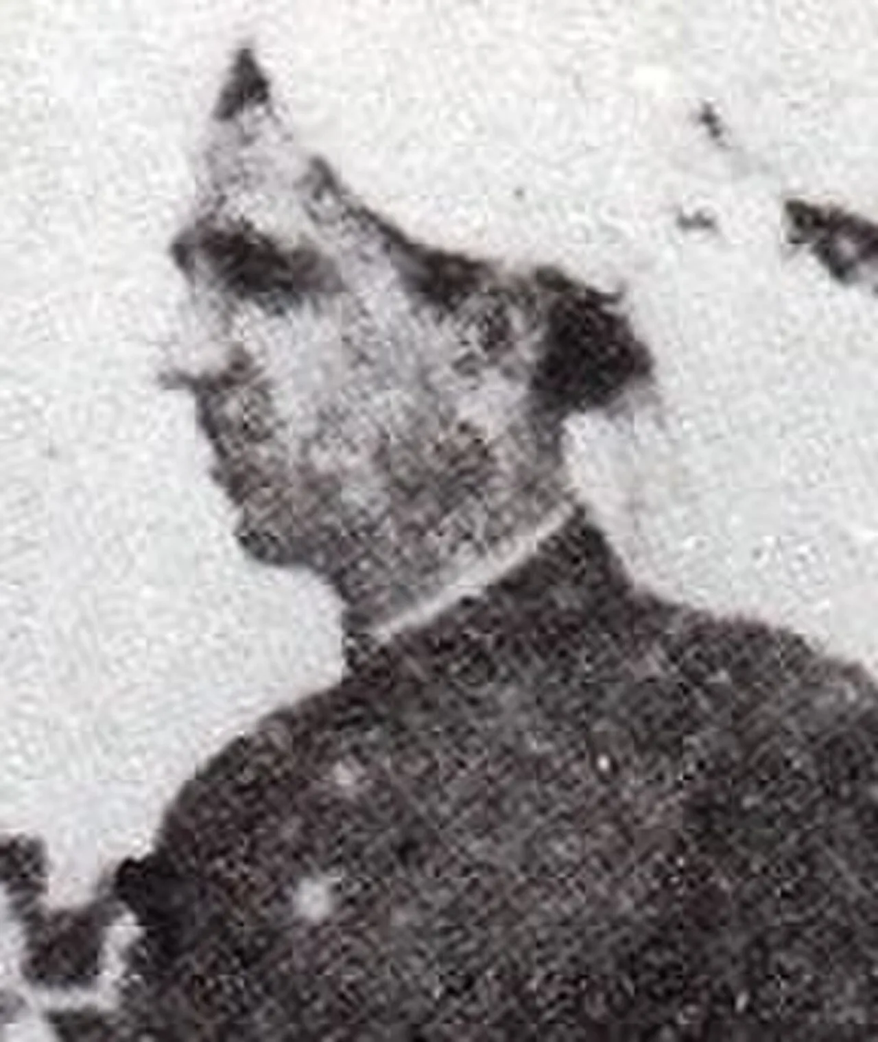 Malik Khizar Hayat Tiwana