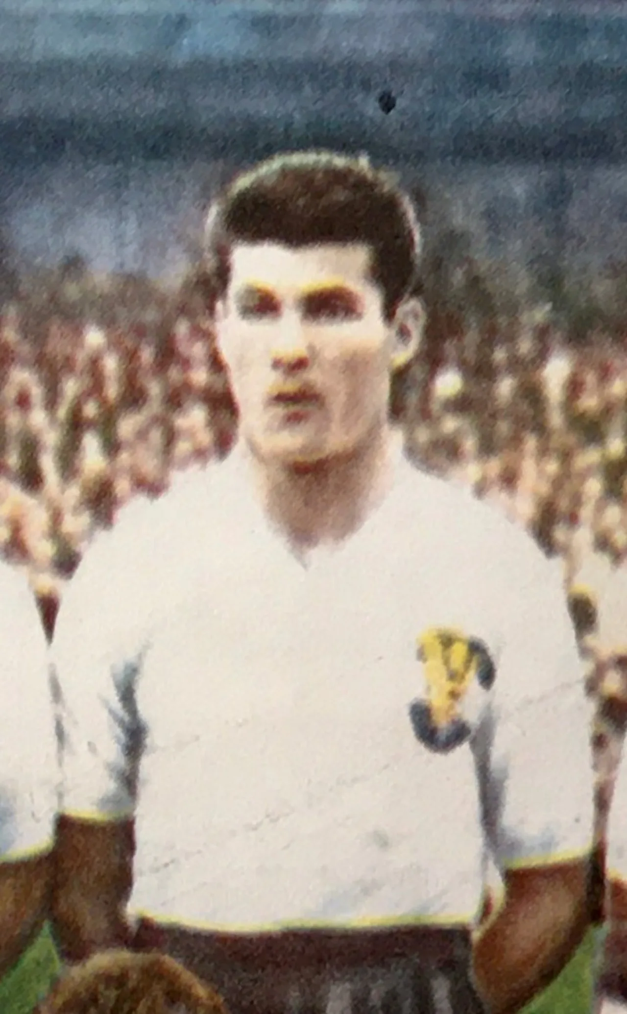 Portrait of Paul Halla (1931–2005) – memorial page