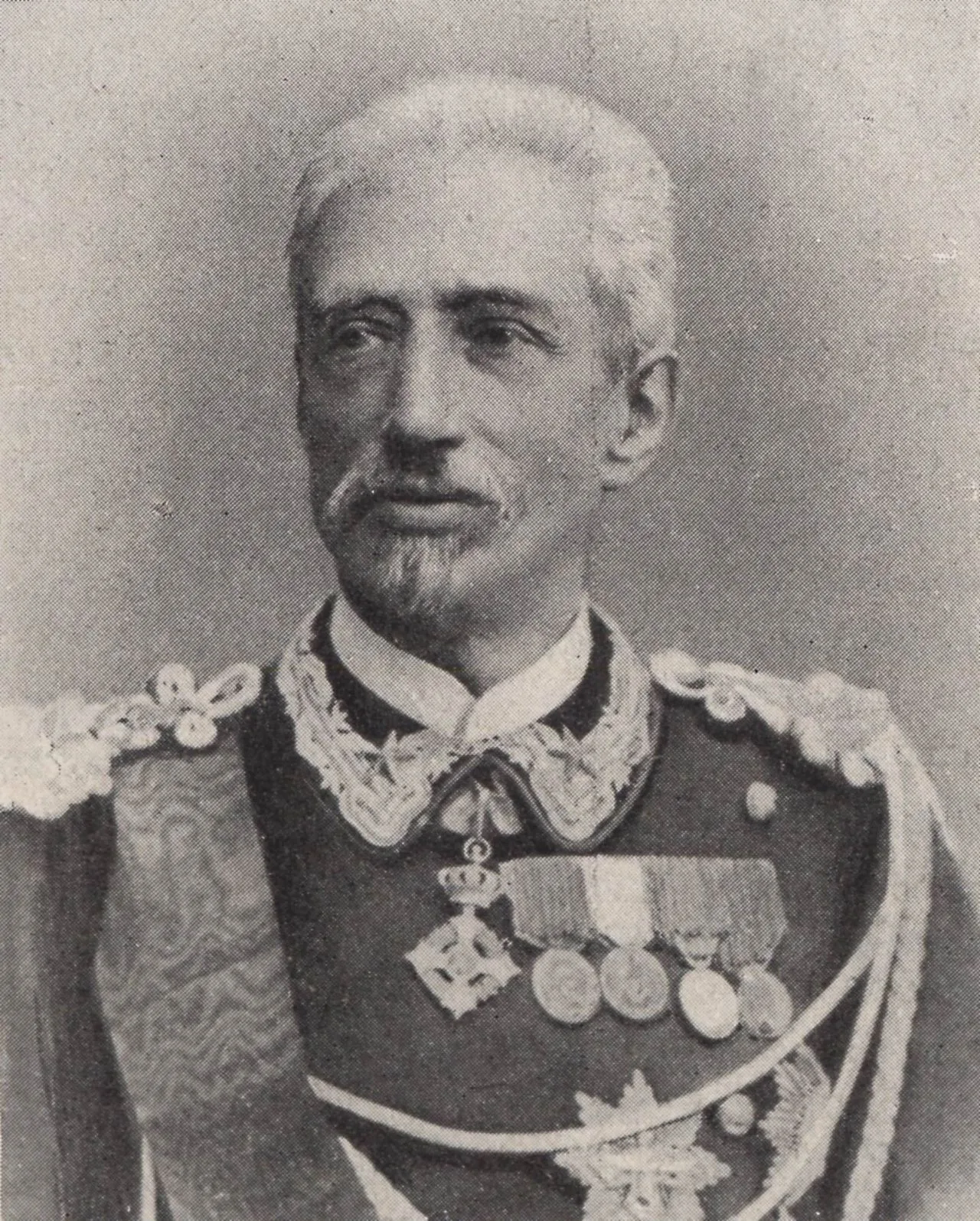 Porträt von Carlo Felice Nicolis Robilant (1826–1888) – Gedenkseite