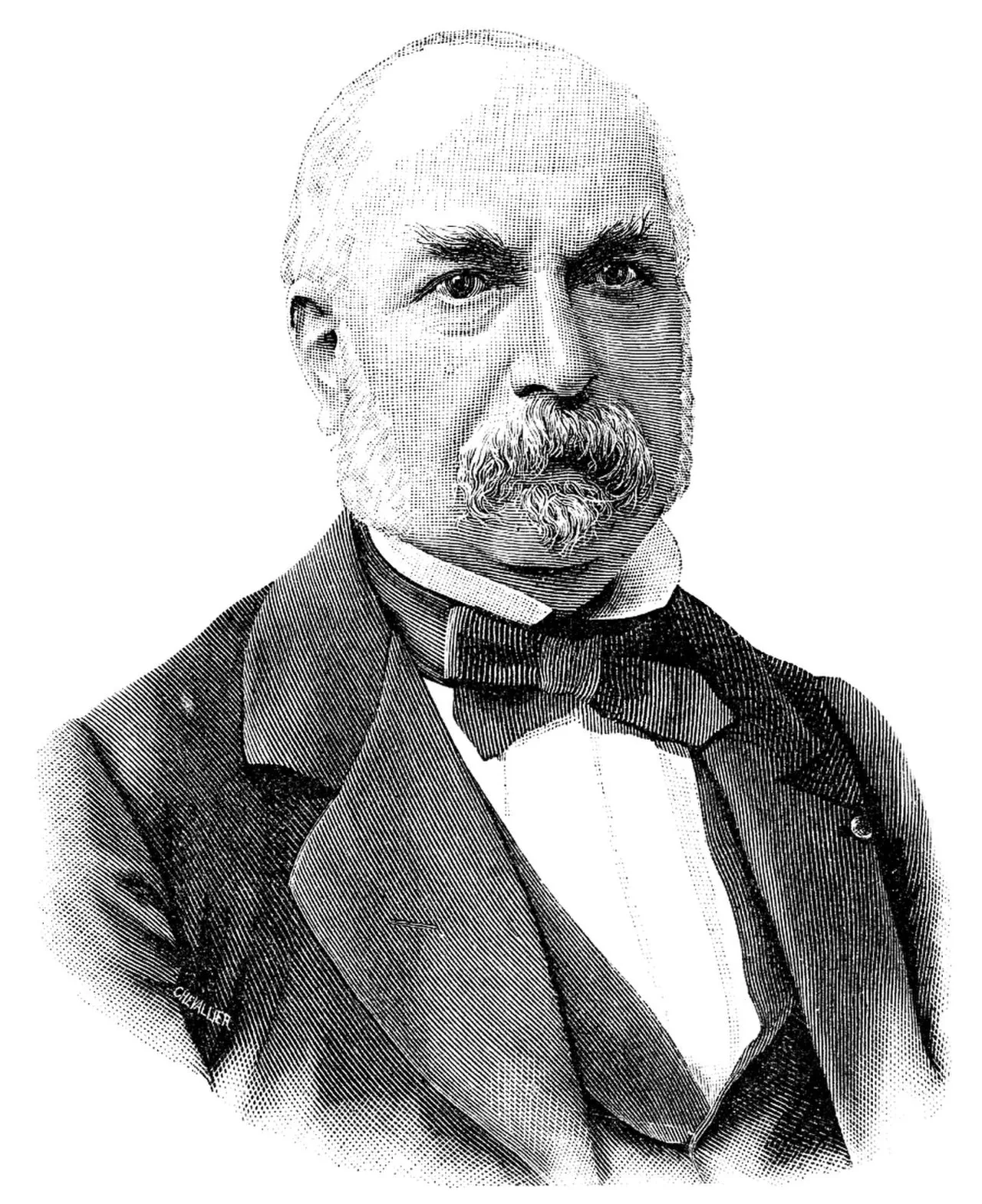 Porträt von Camille Rousset (1821–1892) – Gedenkseite