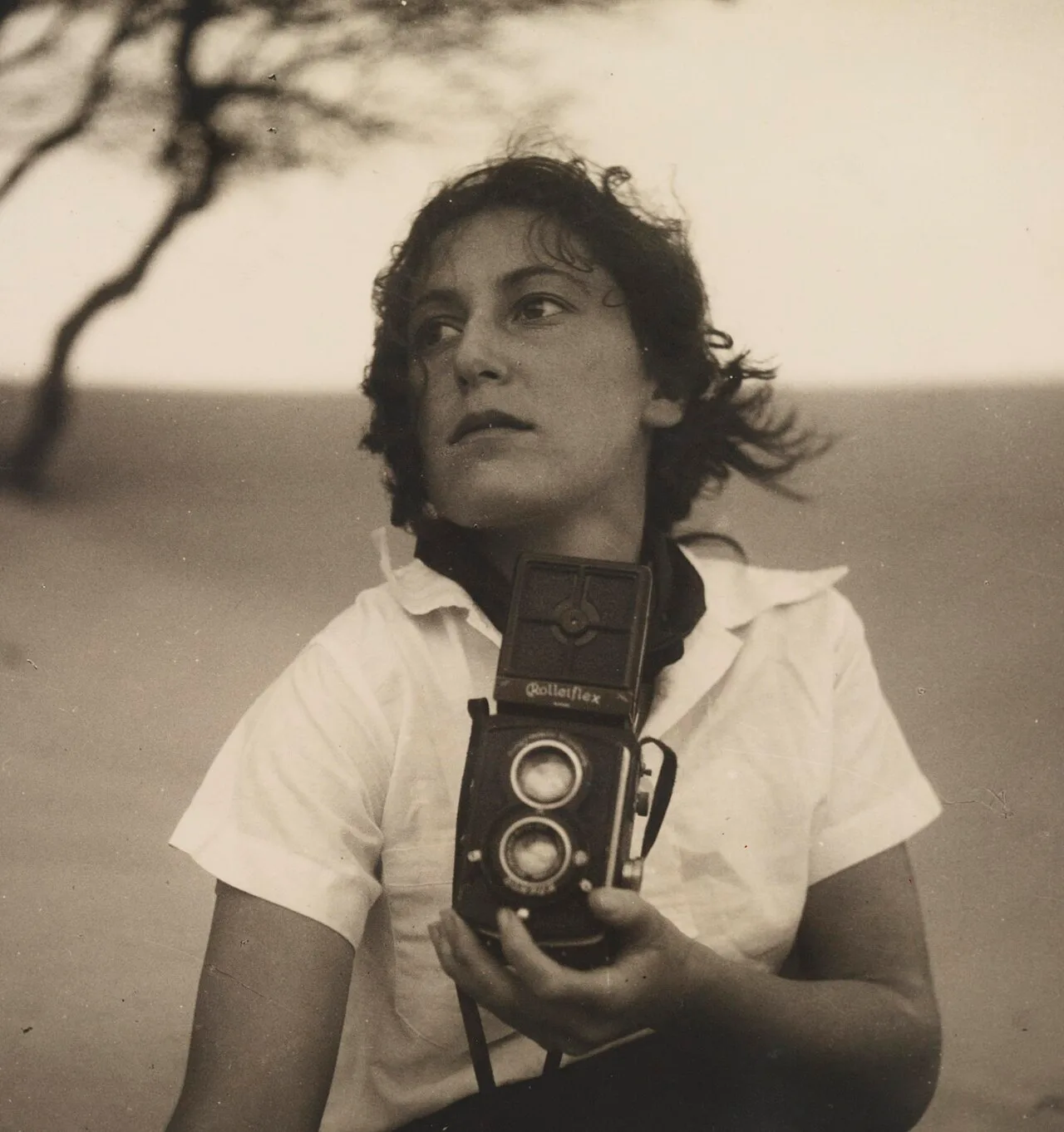 Porträt von Olive Cotton (1911–2003) – Gedenkseite