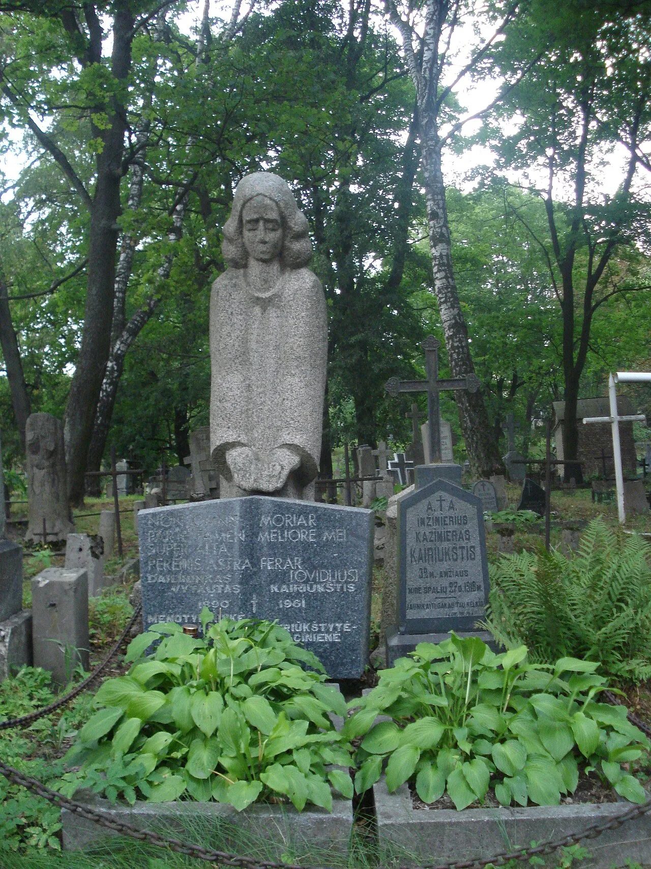 Vytautas Kairiūkštis