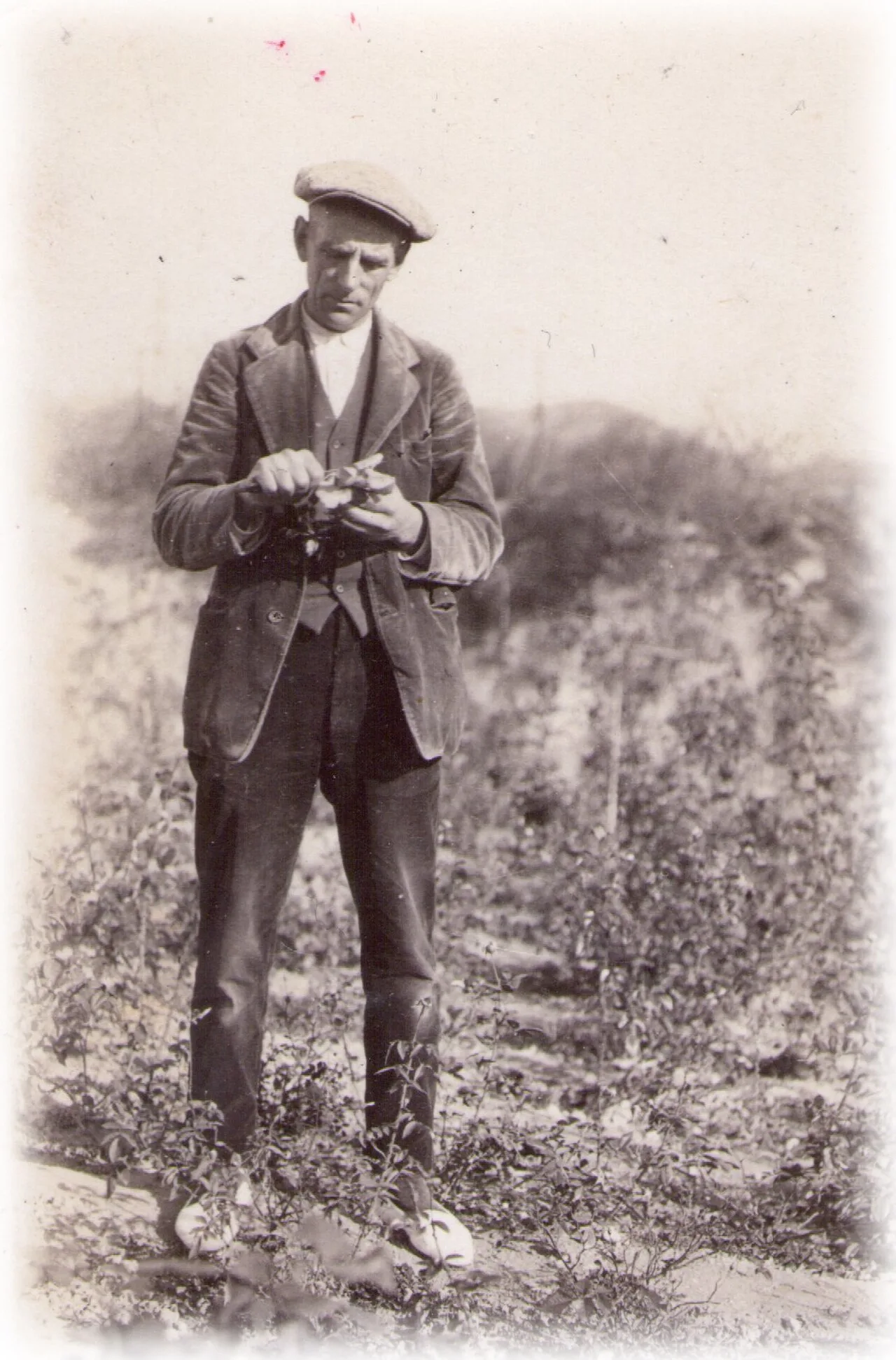 Portrait of Pedro Dot (1885–1976) – memorial page