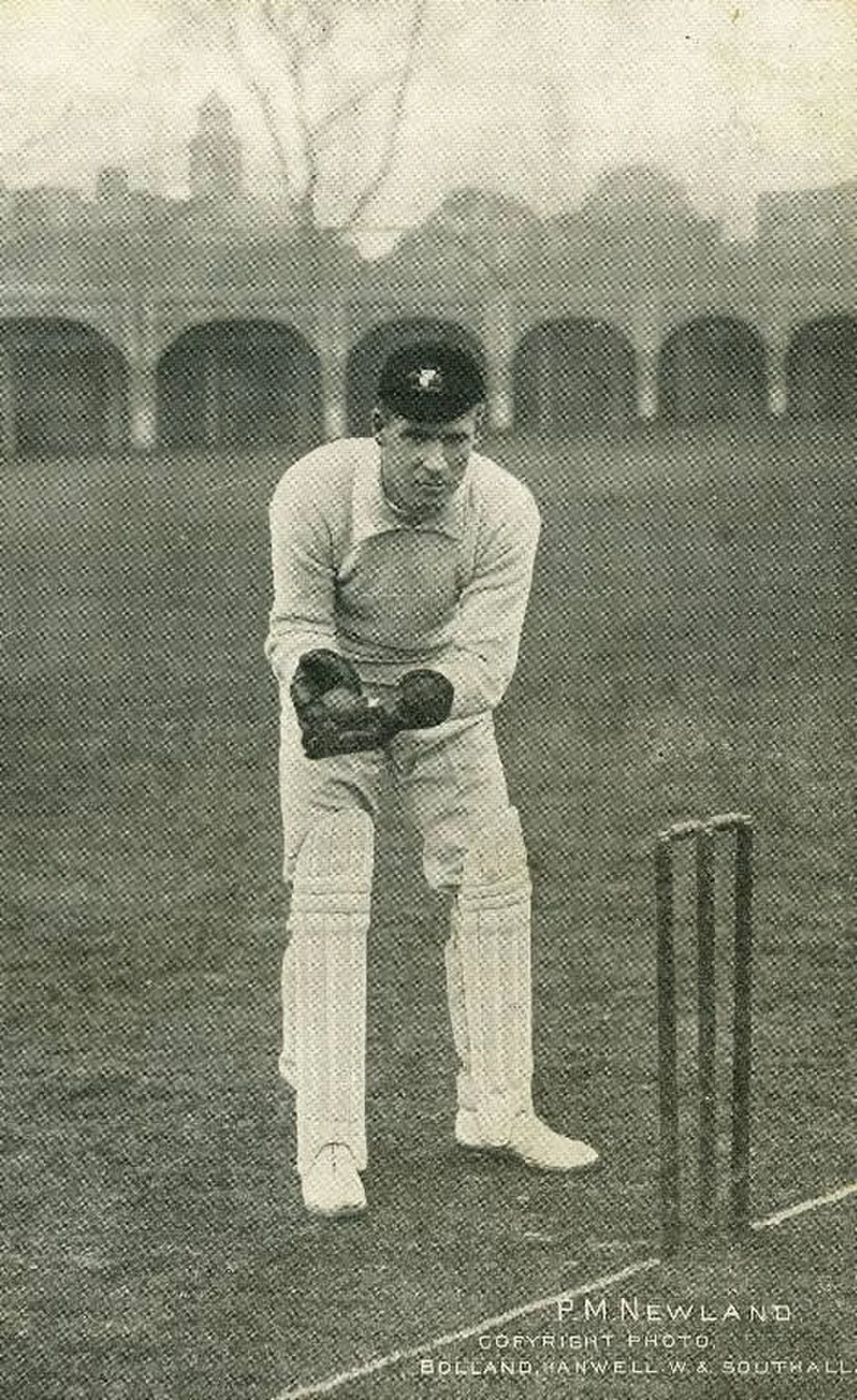 Phil Newland