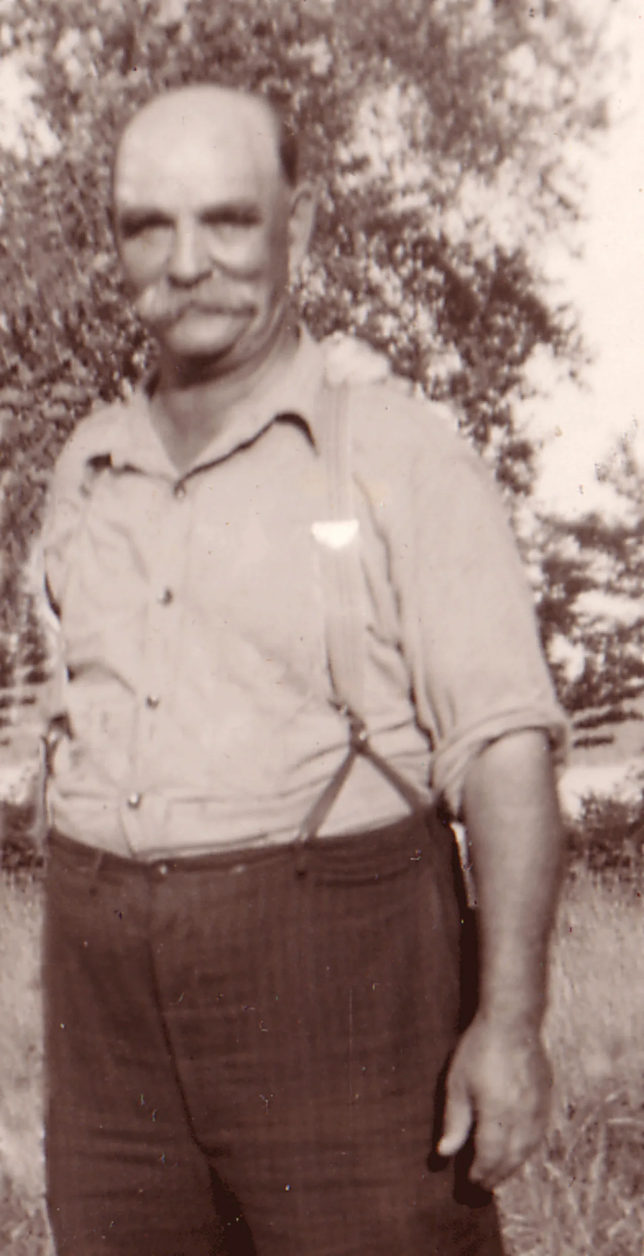 Porträt von William Nathan McDowell (1881–1966) – Gedenkseite