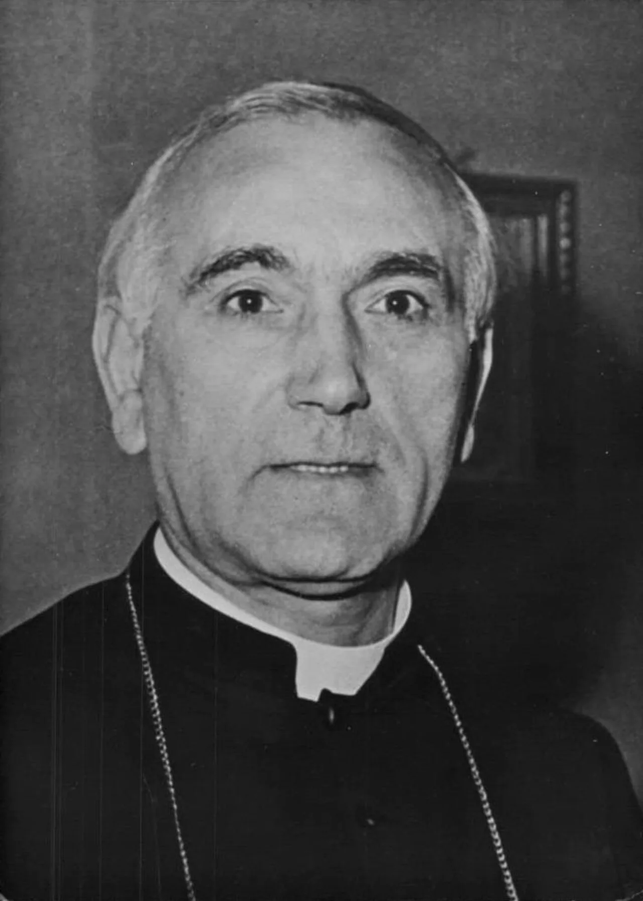 Portrait of Carlo Confalonieri (1893–1986) – memorial page