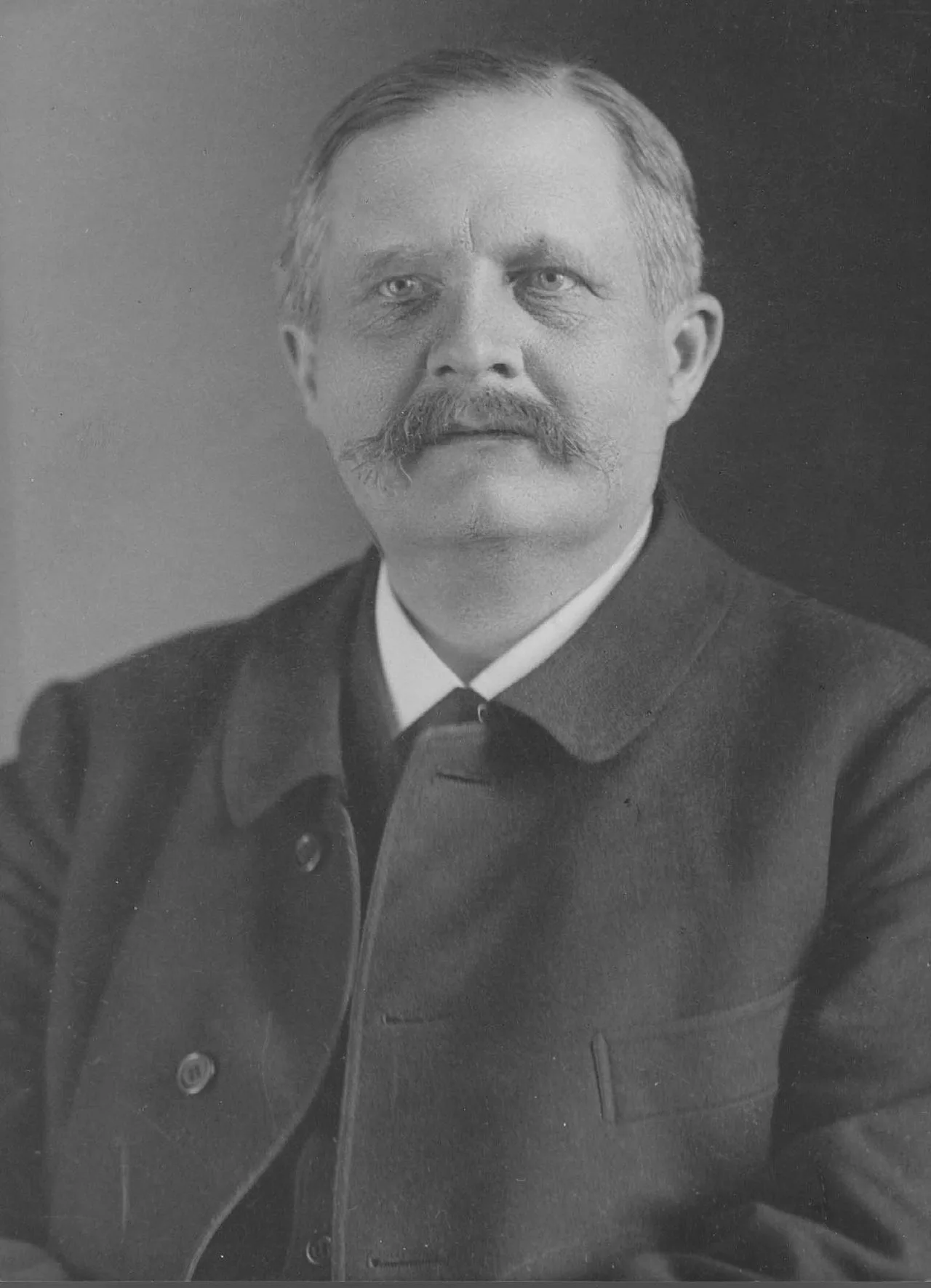 Portrait of Friedrich Naumann (1860–1919) – memorial page