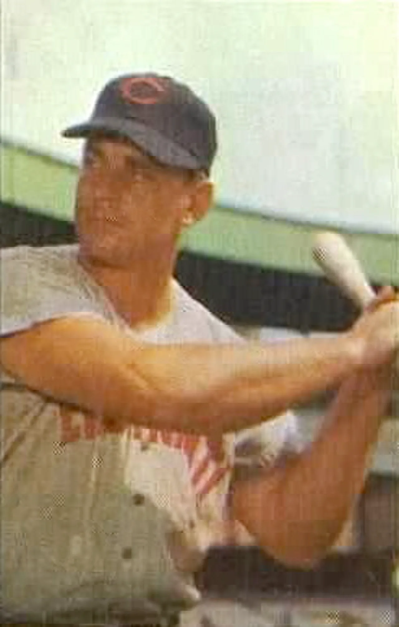 Porträt von Ted Kluszewski (1924–1988) – Gedenkseite