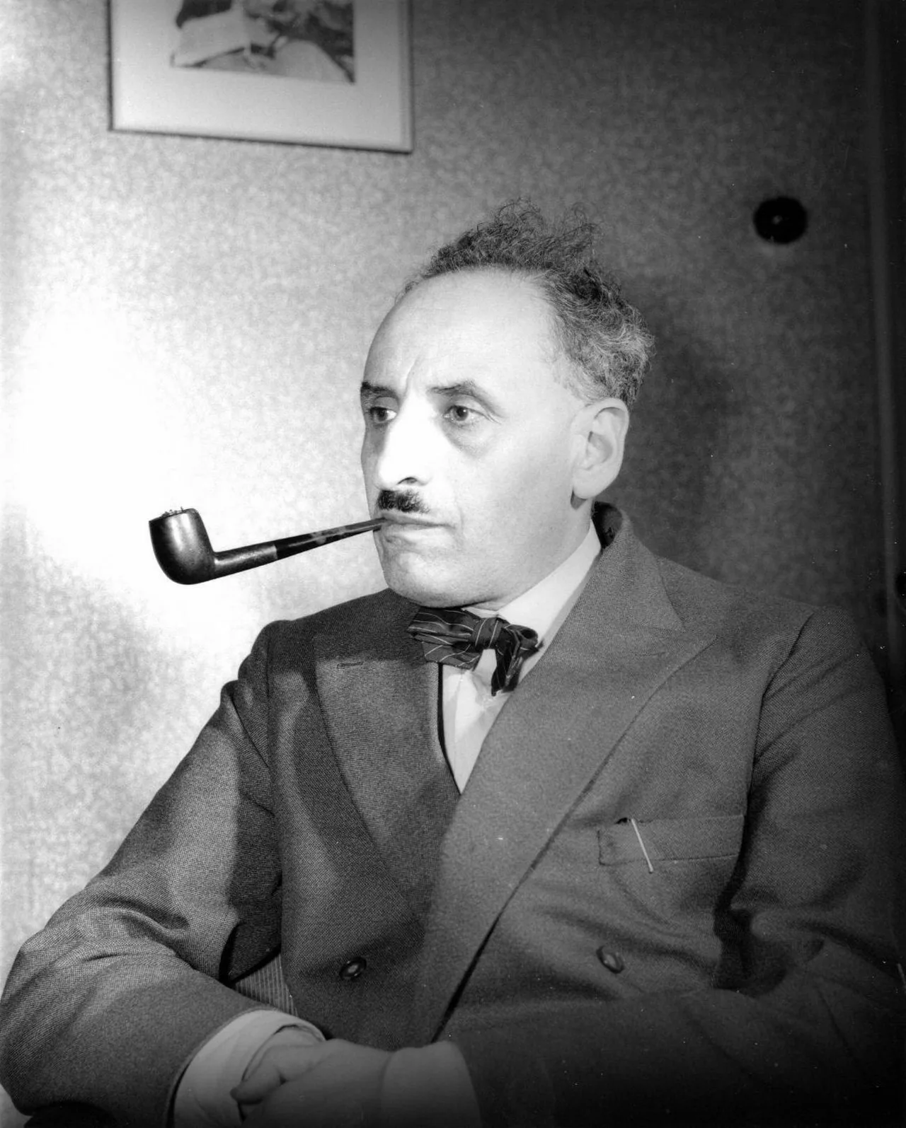 Portrait of Hans Freudenthal (1905–1990) – memorial page