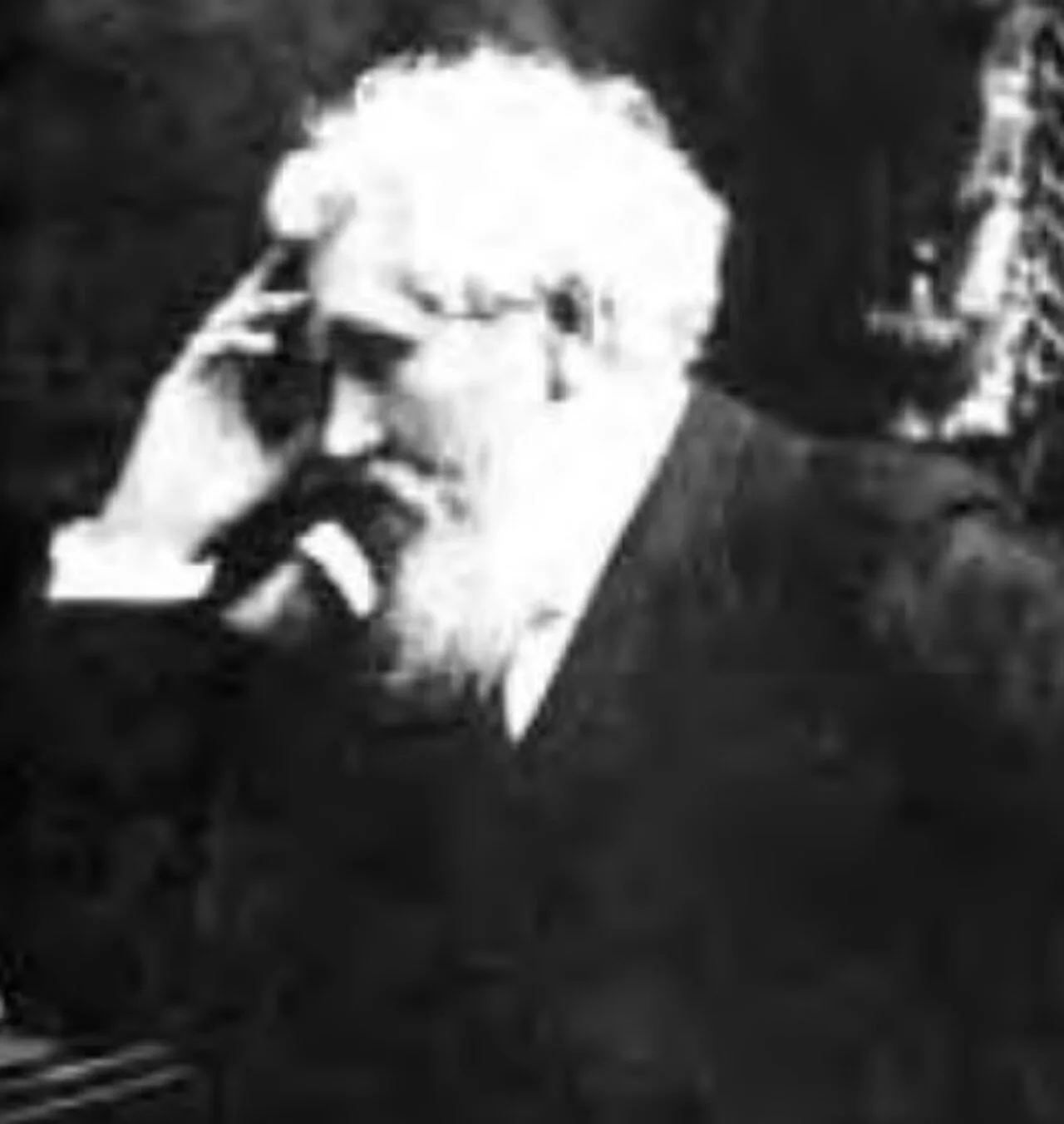 Portrait of Thomas Bard McFarland (1828–1908) – memorial page