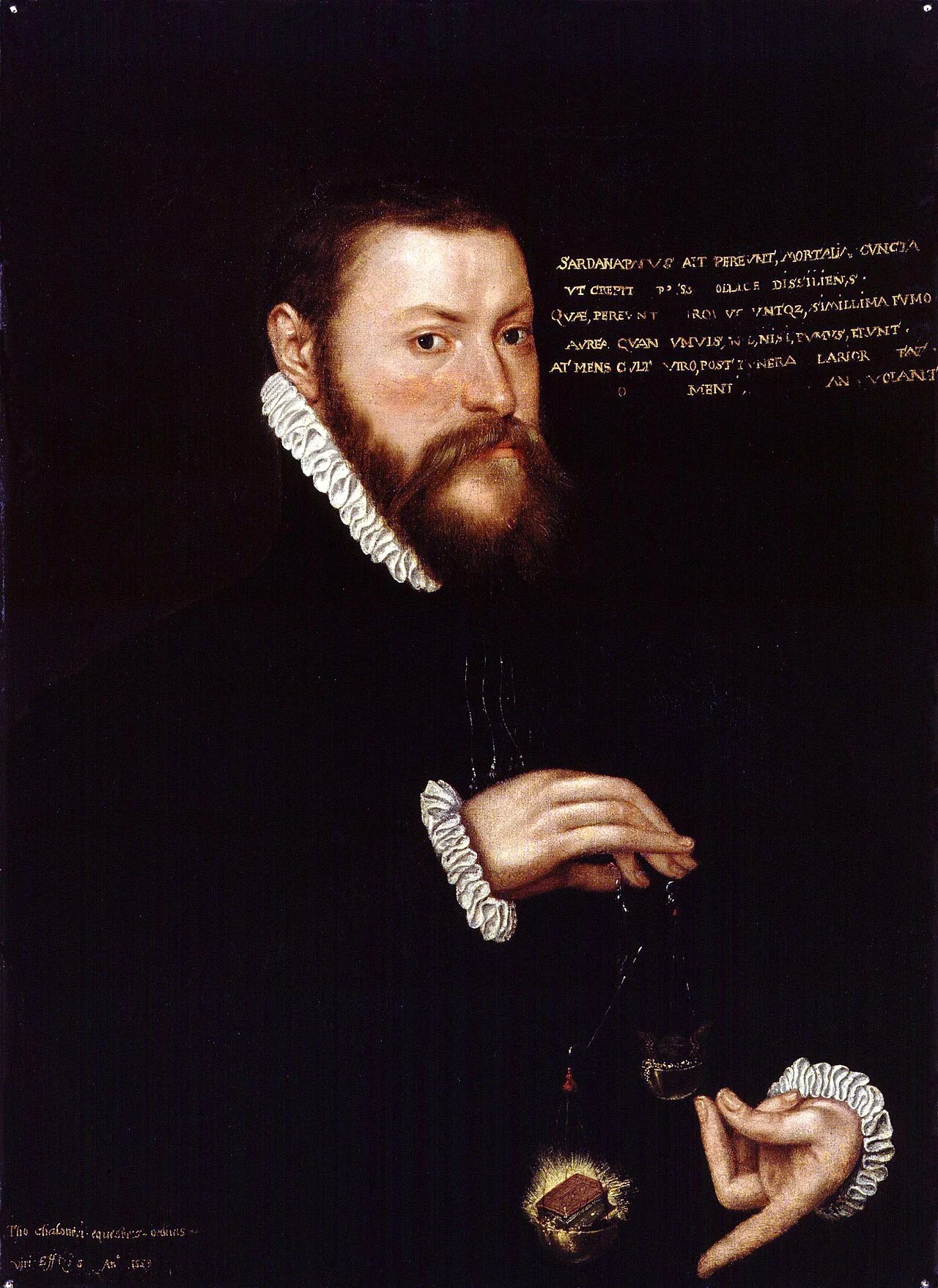 Portrait of Thomas Chaloner (1521–1565) – memorial page