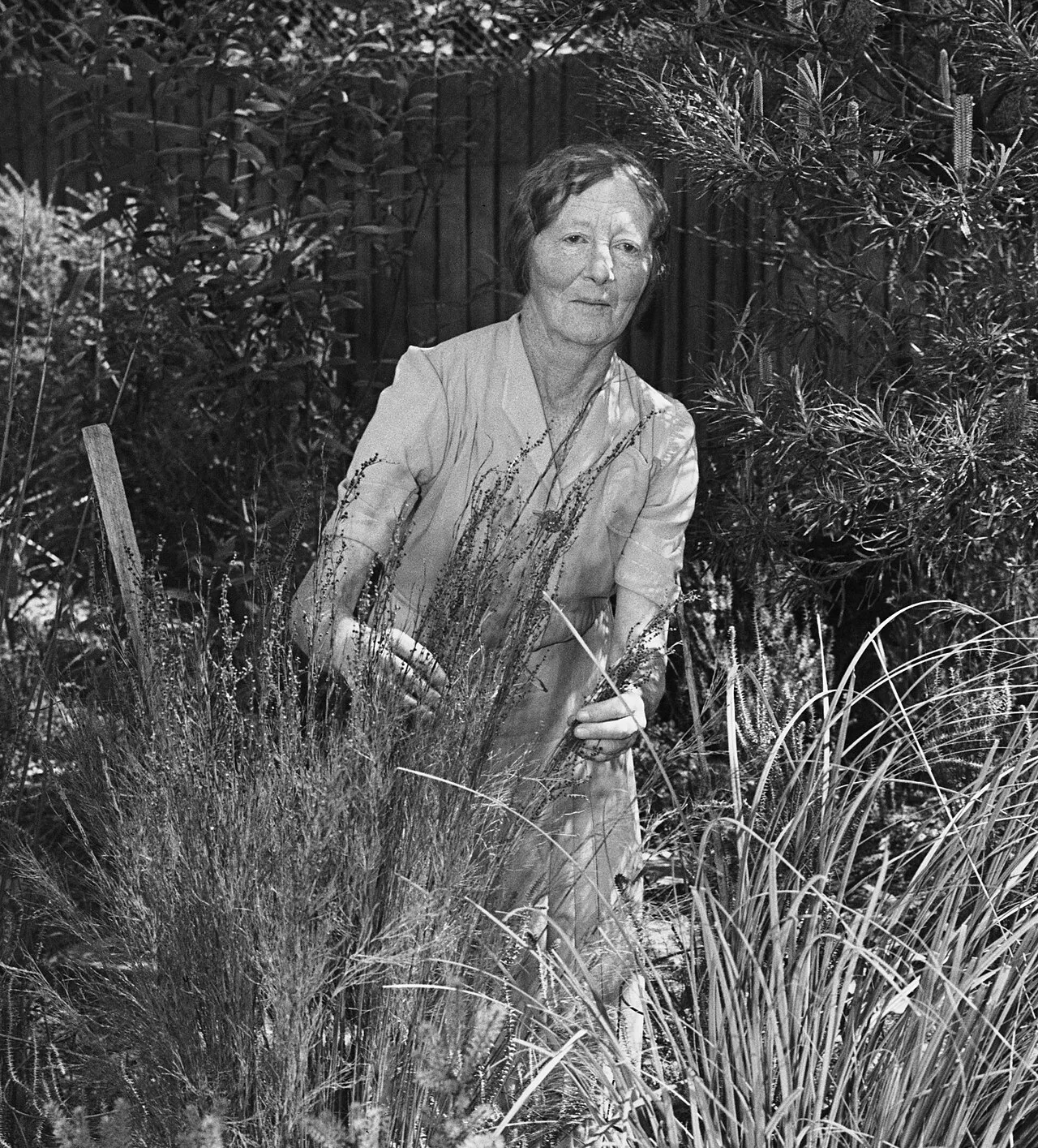 Winifred Waddell