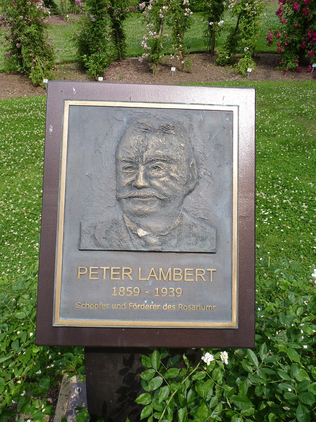 Portrait of Peter Lambert (1859–1939) – memorial page