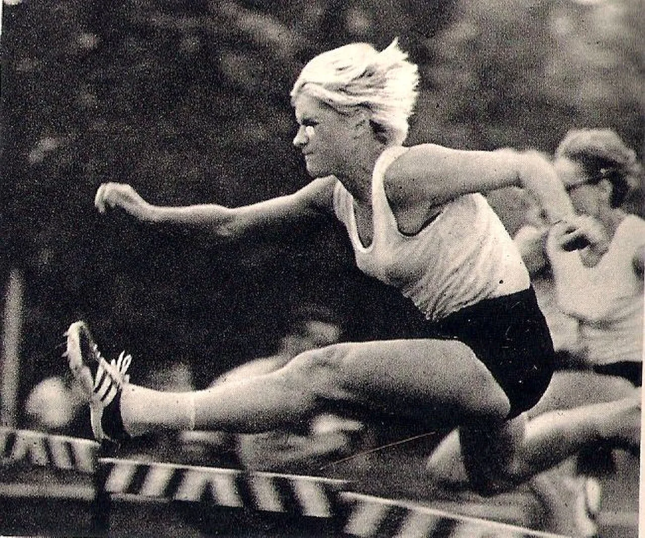Elżbieta Żebrowska