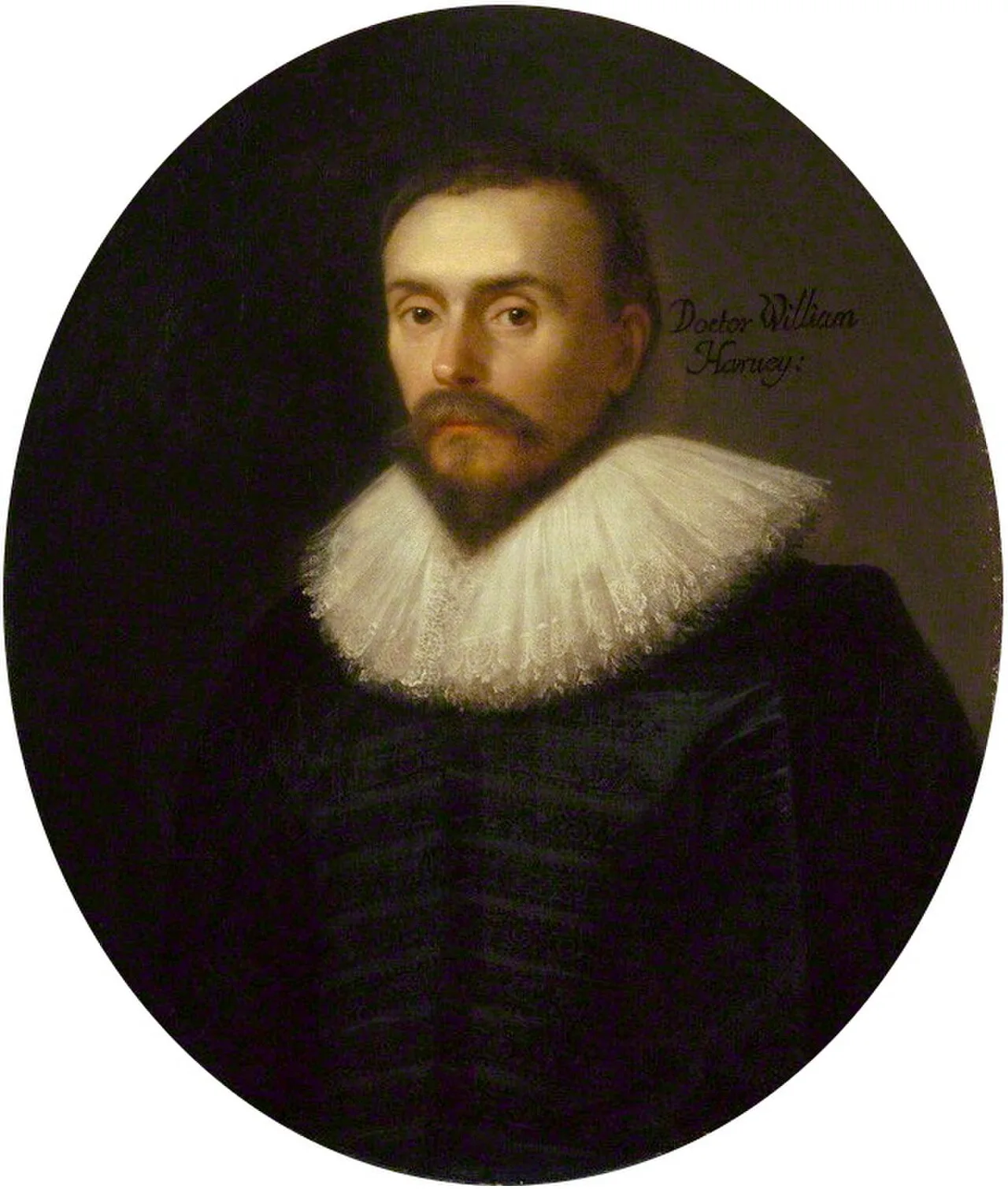 Porträt von William Harvey (1578–1657) – Gedenkseite