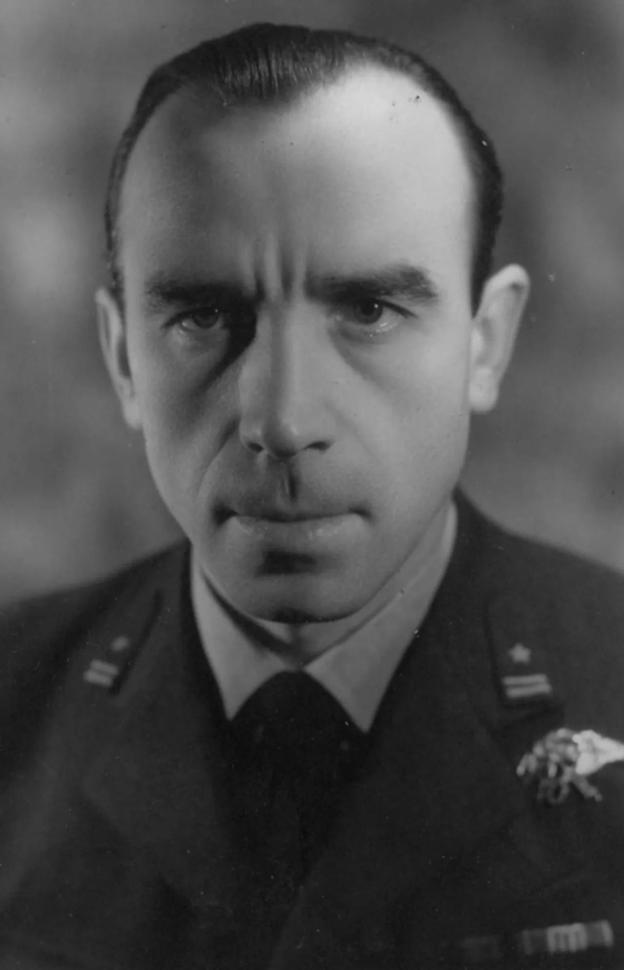 Portrait of Stanisław Poziomek (1908–1944) – memorial page