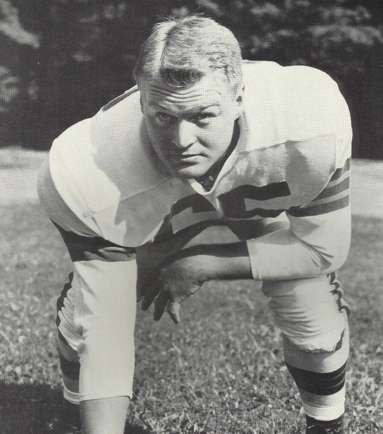 Porträt von Chuck Noll (1932–2014) – Gedenkseite