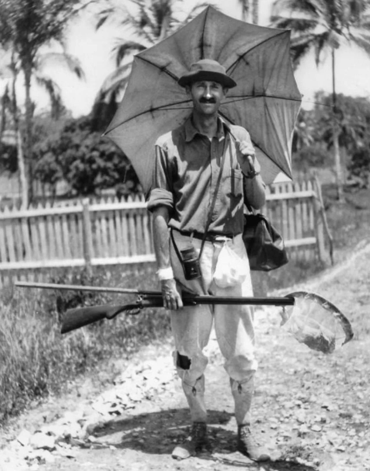 Portrait of Charles William Beebe (1877–1962) – memorial page
