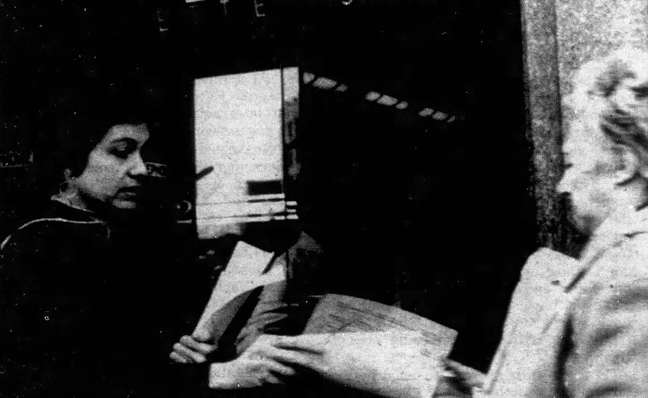 Frances Goldin