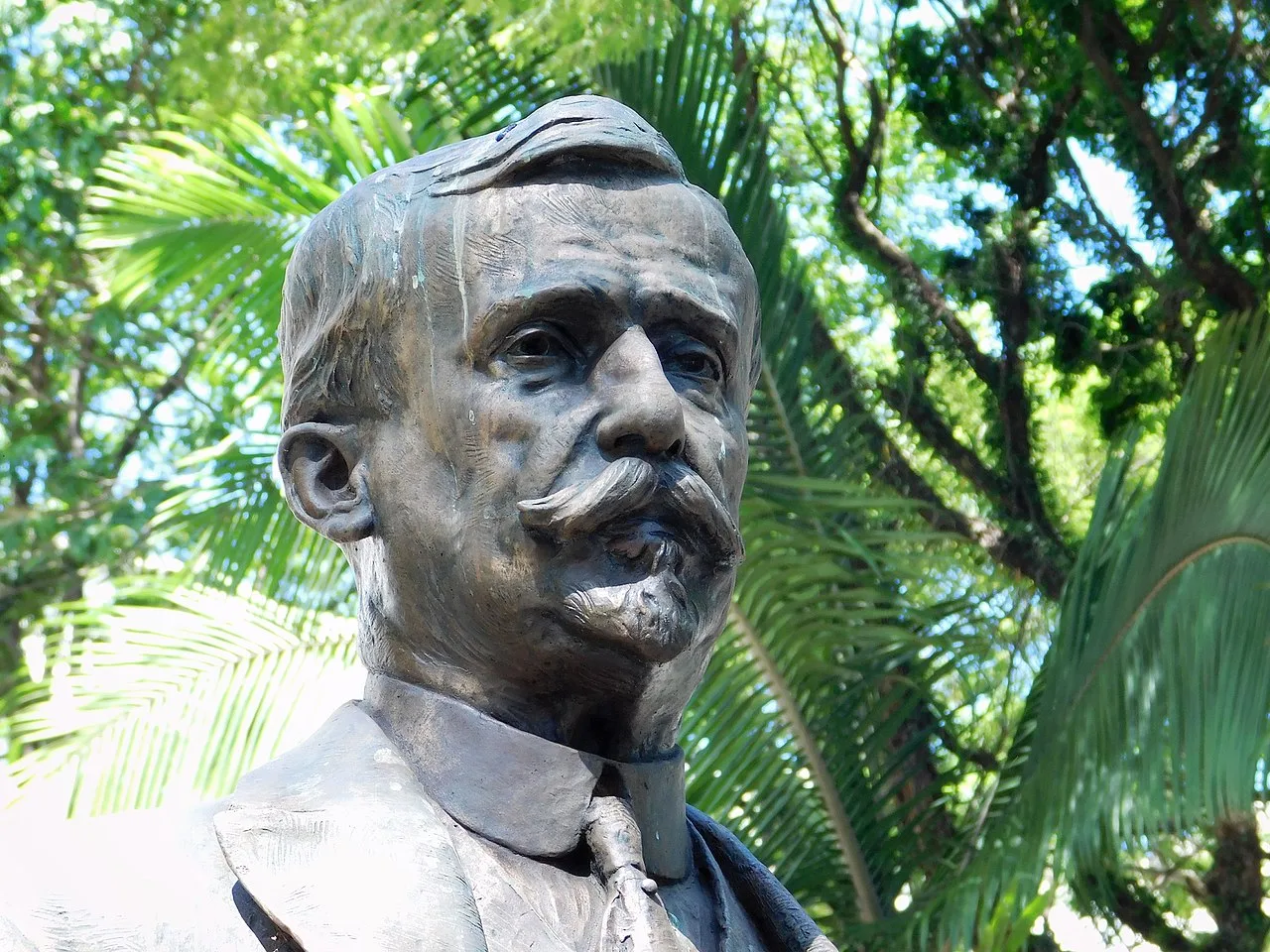 Porträt von Arnaldo Vieira de Carvalho (1867–1920) – Gedenkseite