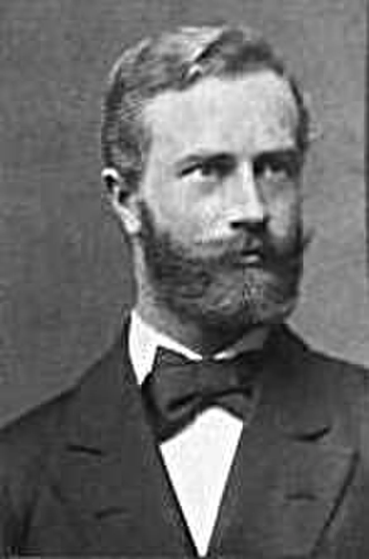 Hans Hinrich Wendt