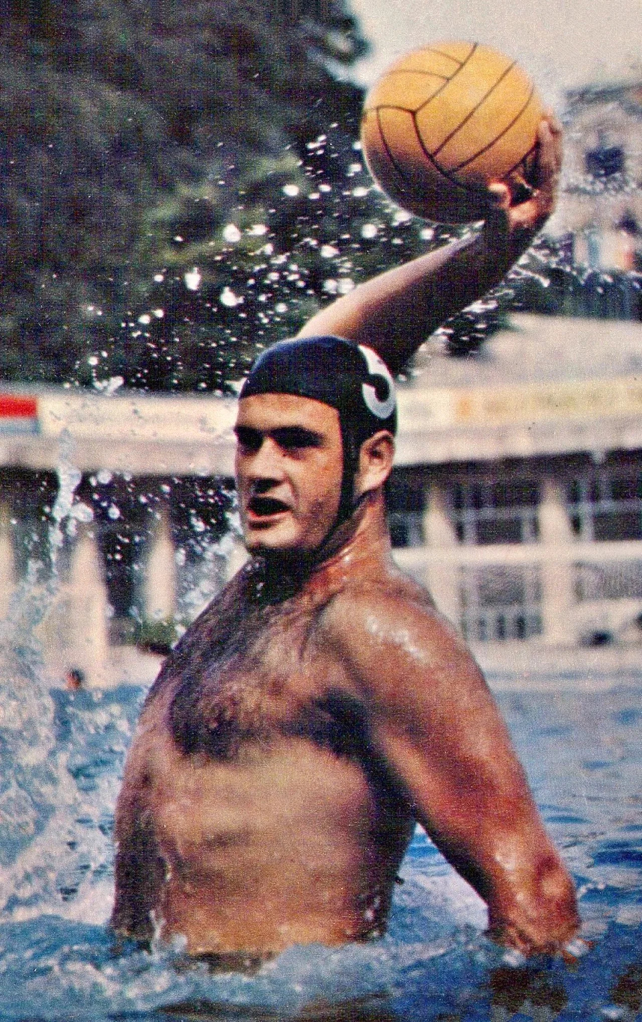 Porträt von Mirko Sandić (1942–2006) – Gedenkseite