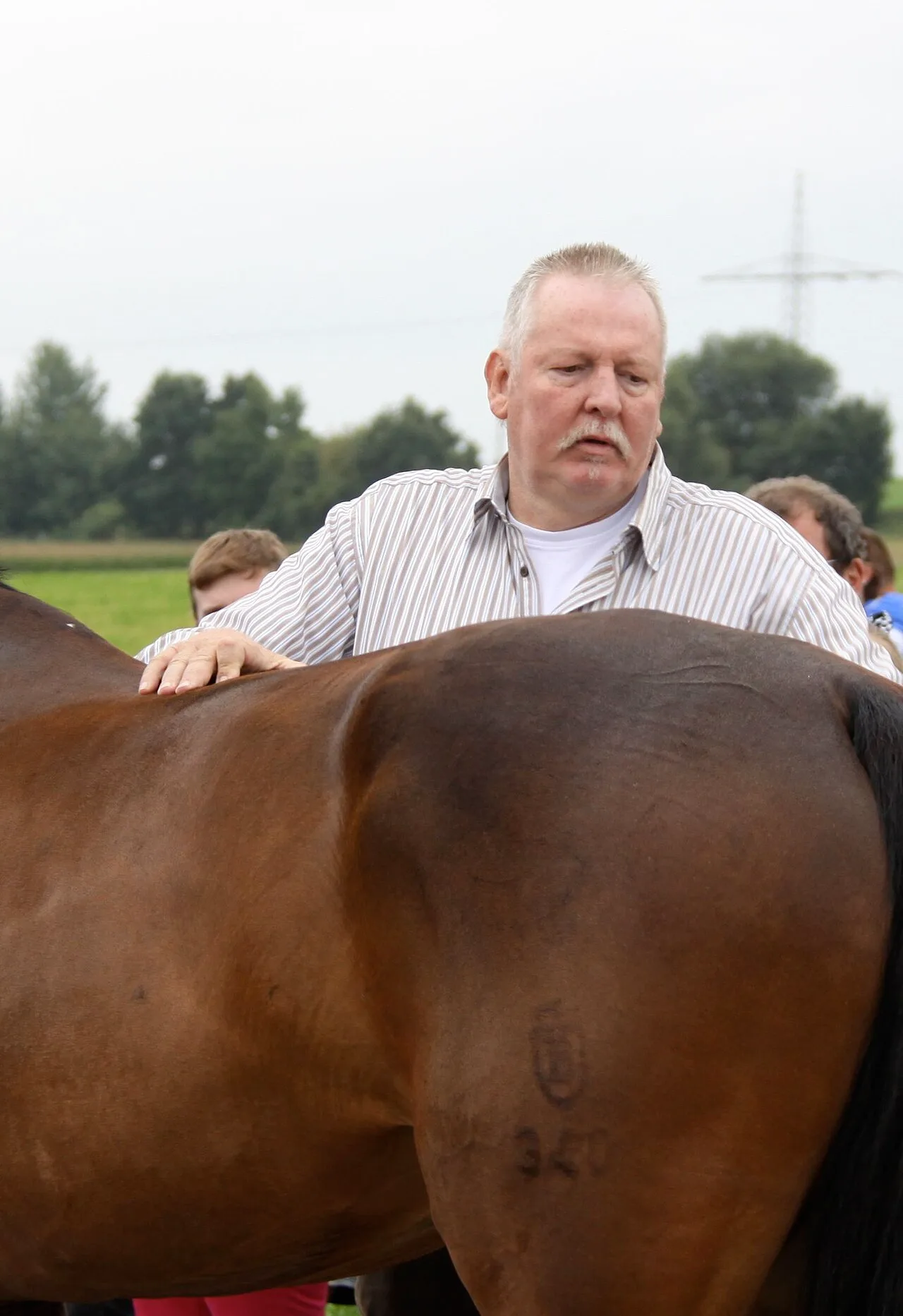 Porträt von Tamme Hanken (1960–2016) – Gedenkseite