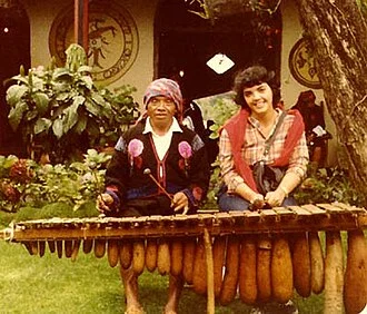 marimba player