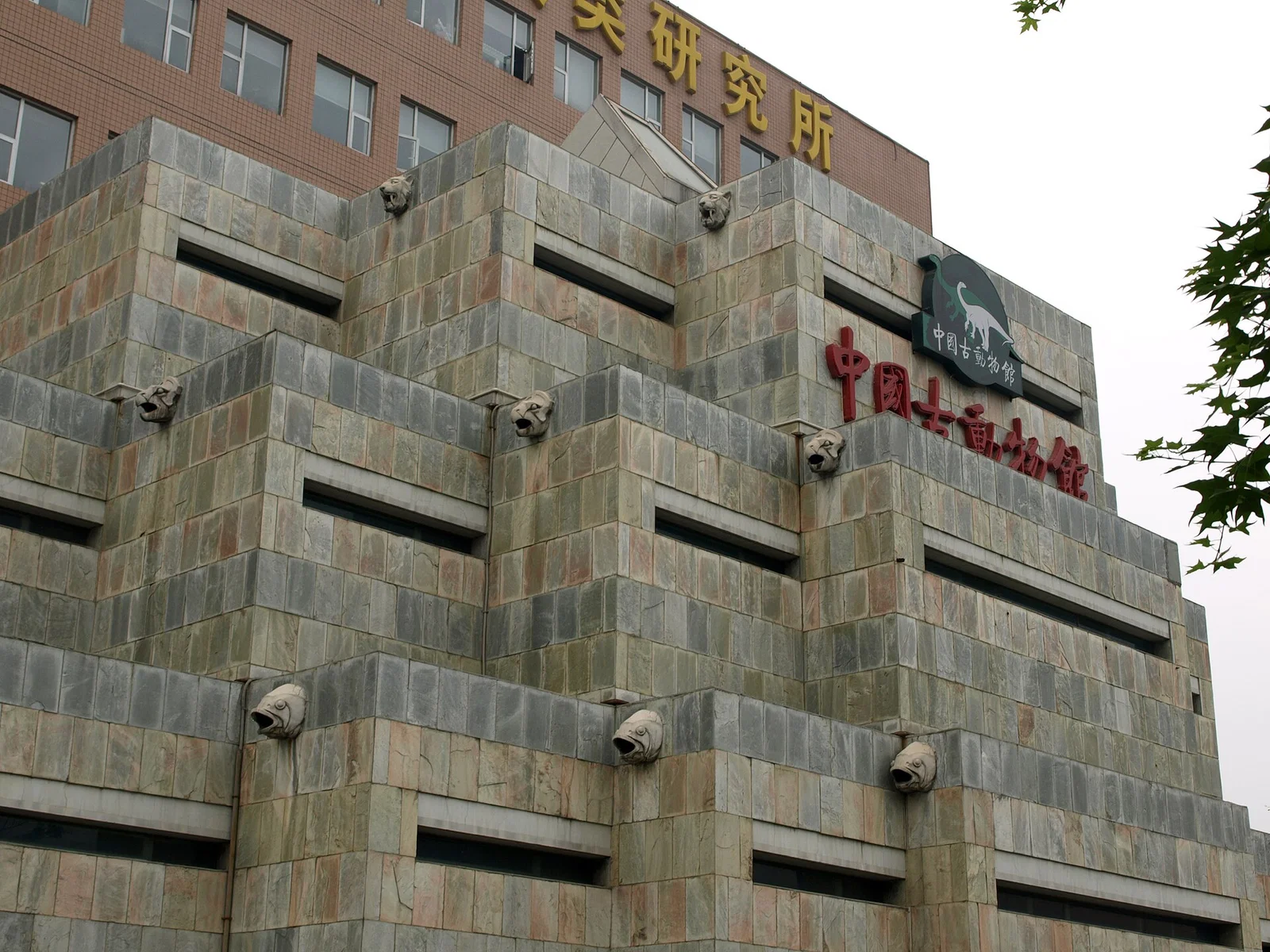 Institute of Vertebrate Paleontology and Paleoanthropology