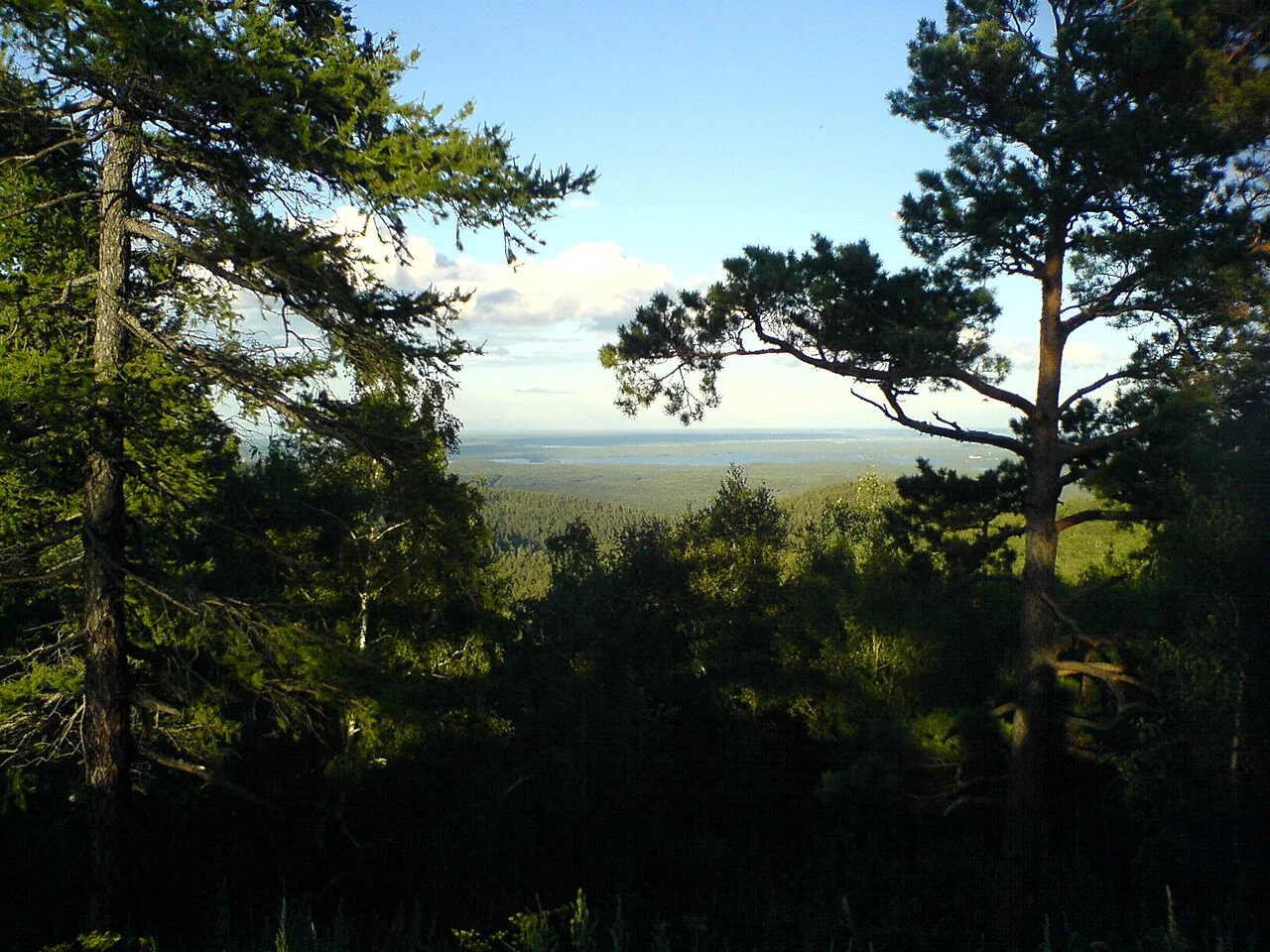Ilmen Nature Reserve