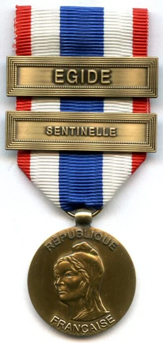 Medal for the Military Protection of the Territory