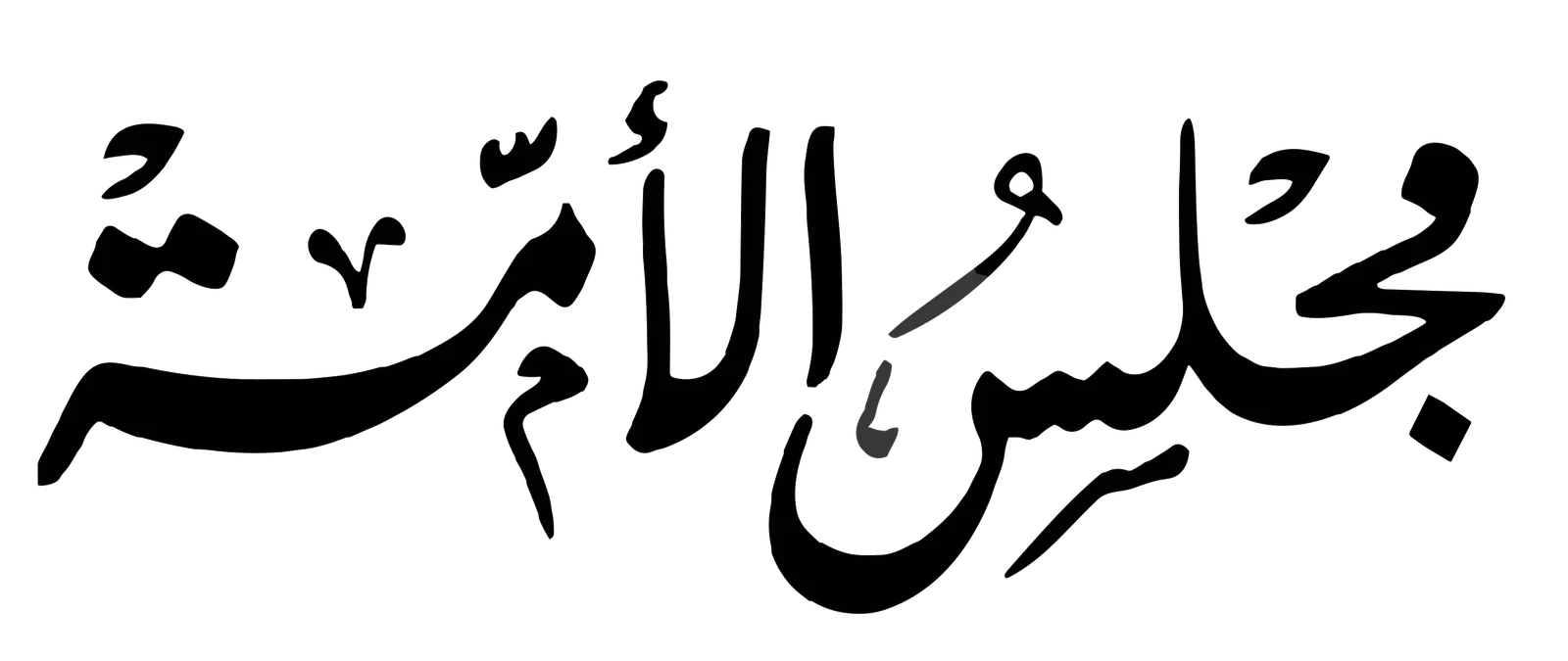 Member of the Council of the Nation of Algeria