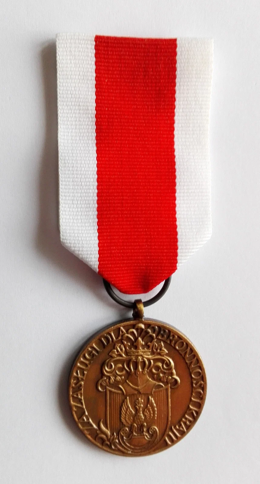 Bronze Medal of Merit for National Defence