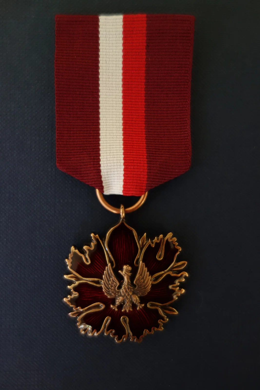 Bronze Medal for Merit to Culture – Gloria Artis‎