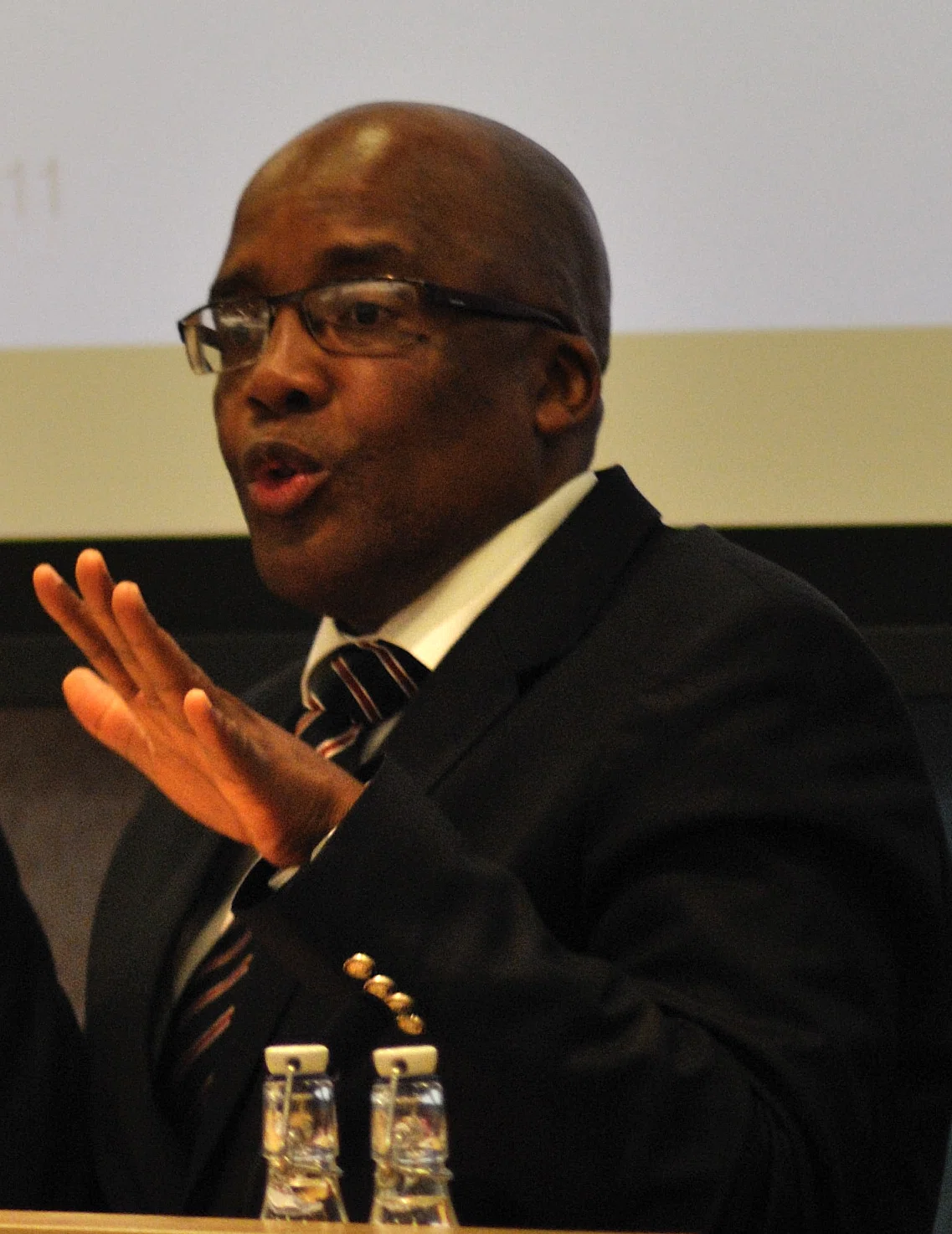 Minister of Home Affairs of South Africa