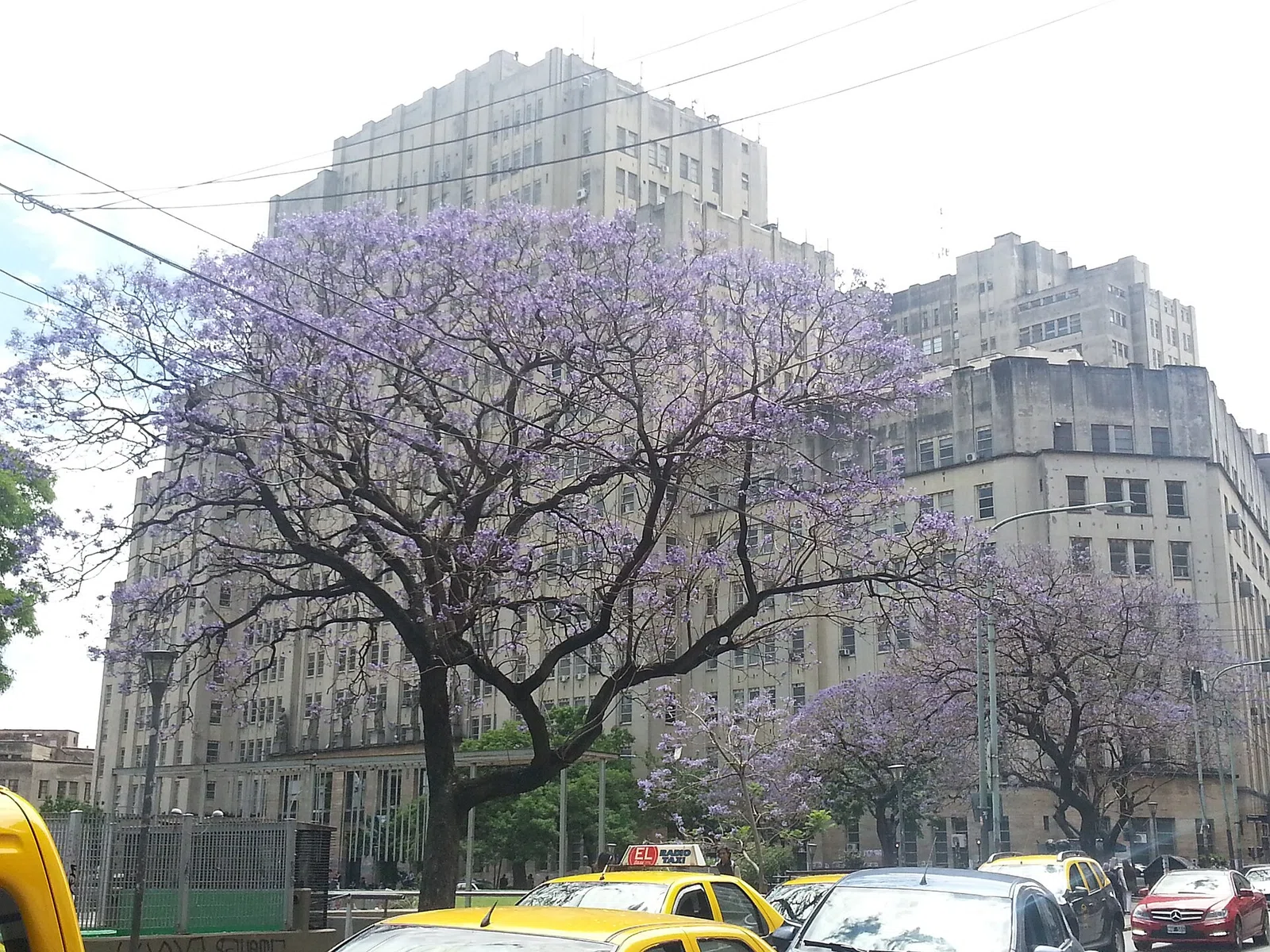 Faculty of Medical Sciences, University of Buenos Aires