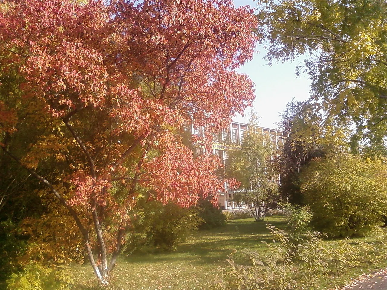 Altai State Technical University