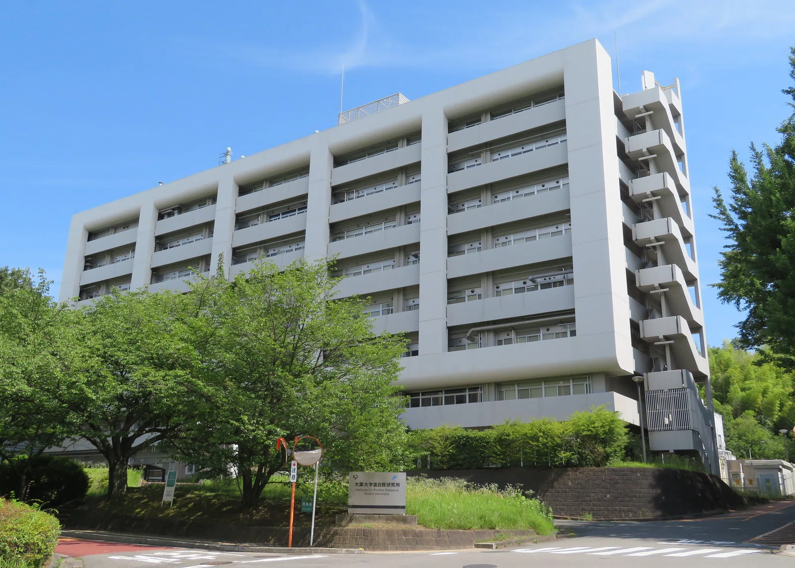 Institute of Protein Research